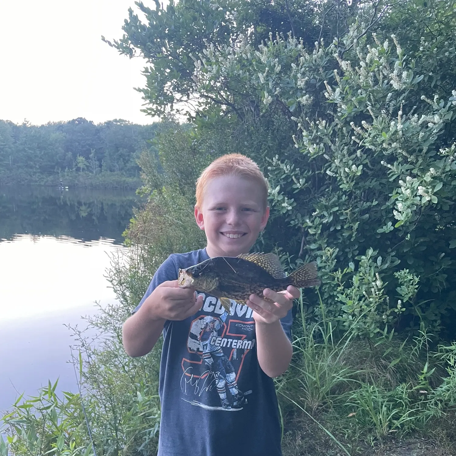 Black crappie caught on Fishbrain
