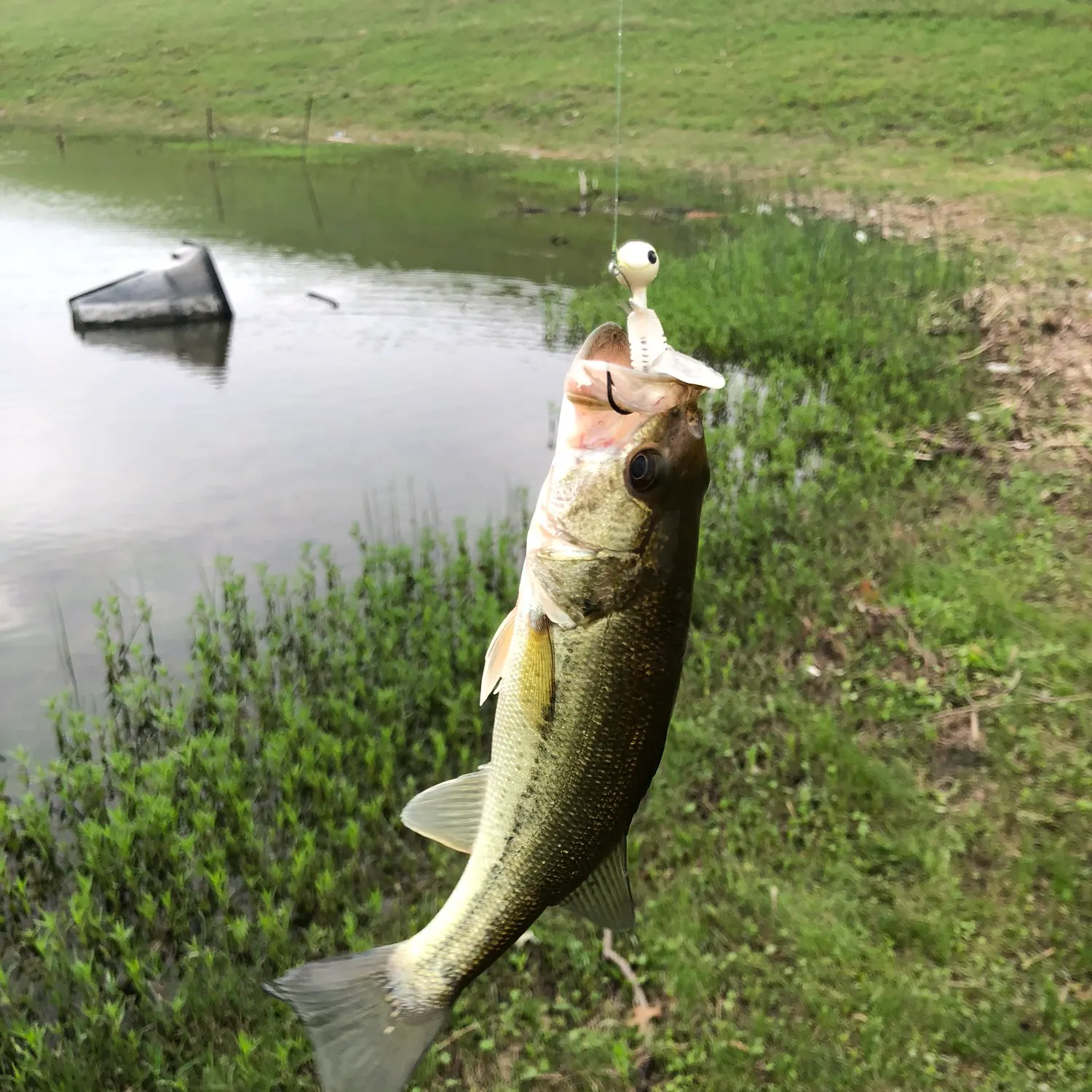 angler catch