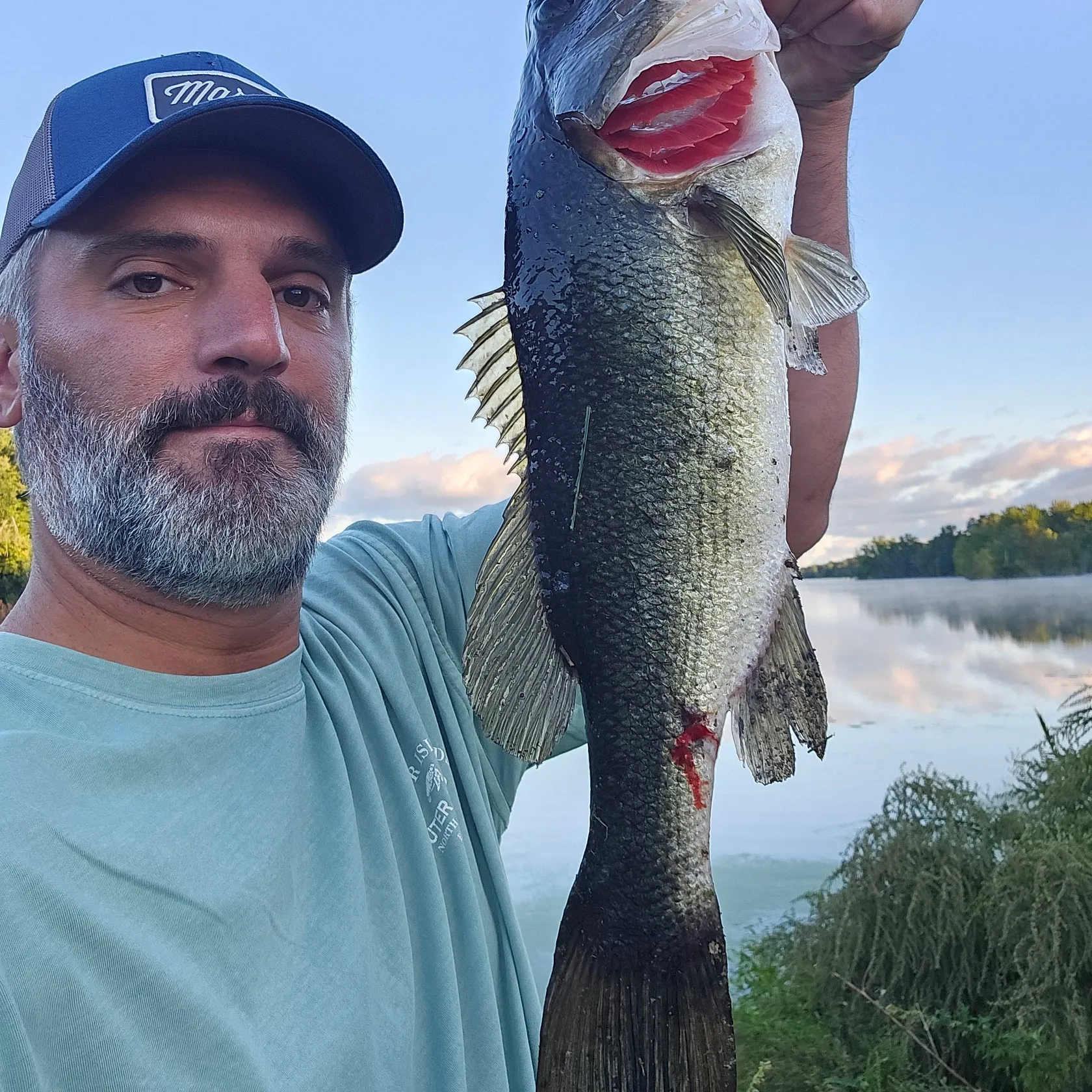 Largemouth bass caught on Fishbrain