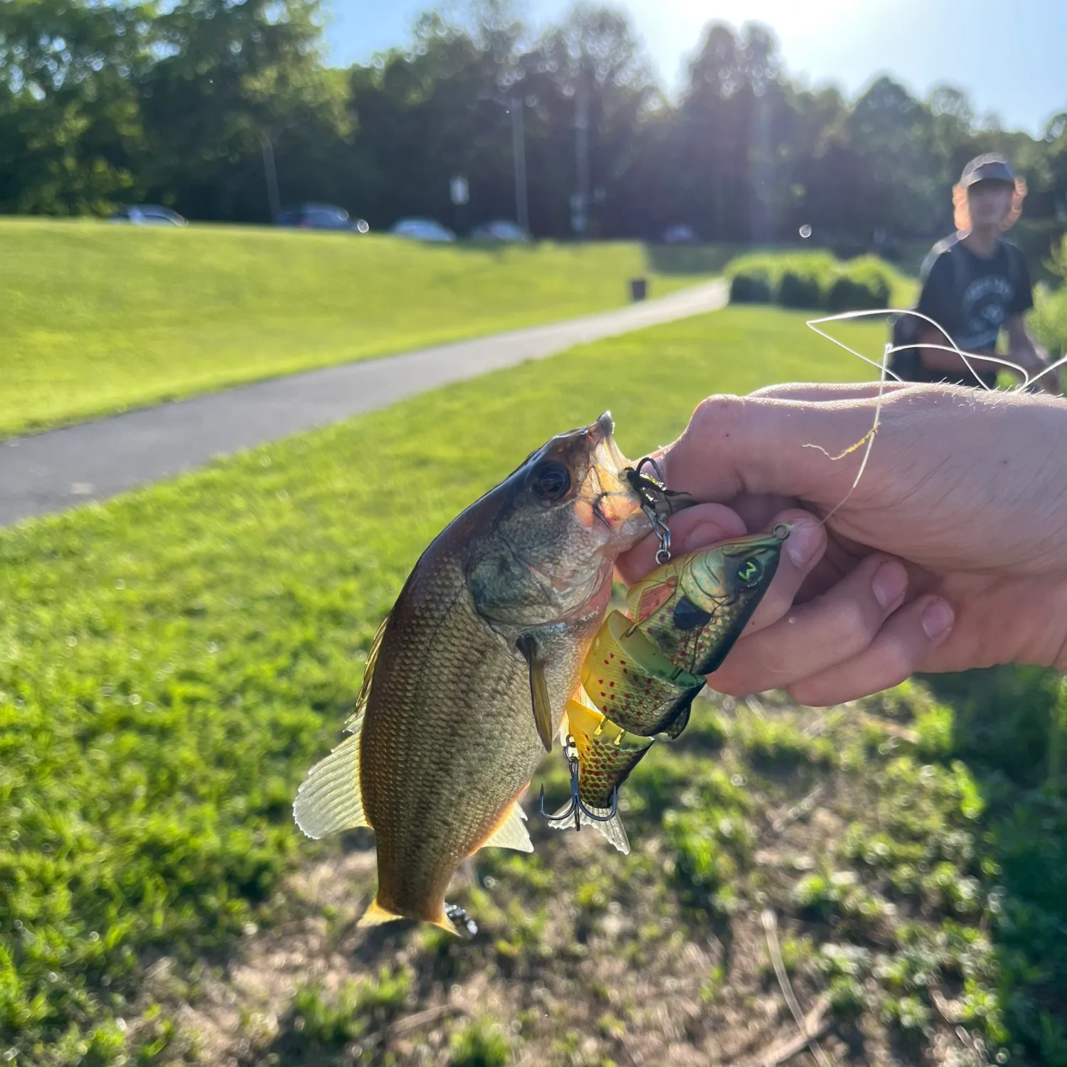 catch