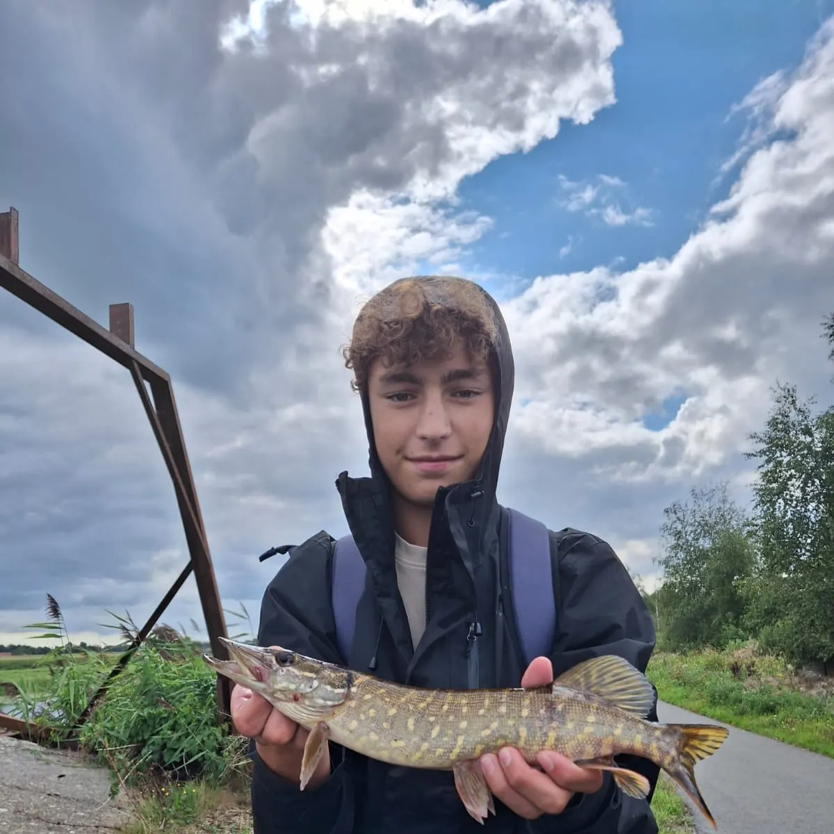 Northern pike caught on Fishbrain