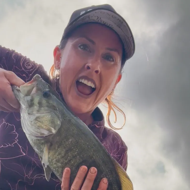 Smallmouth bass caught on Fishbrain