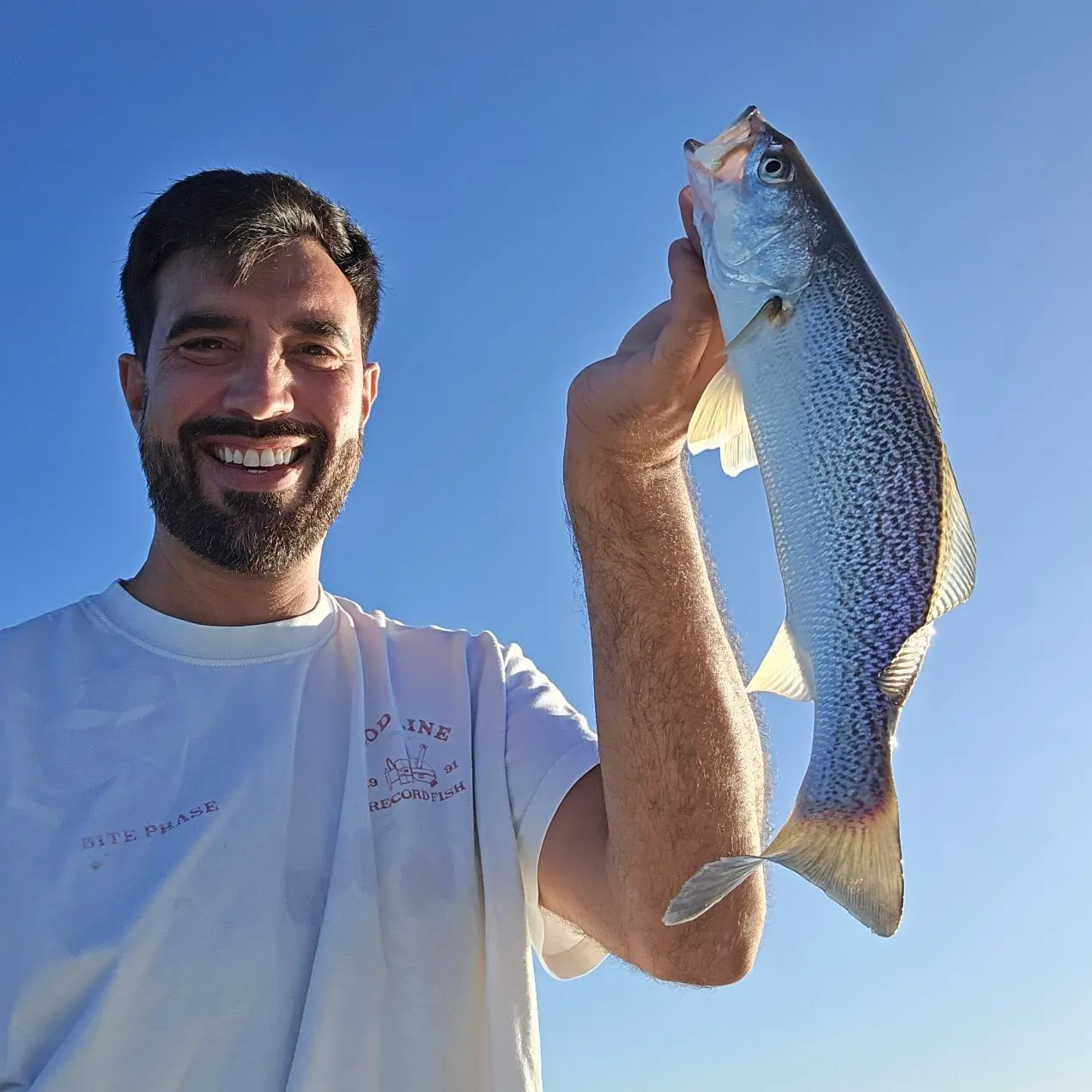 Gray weakfish caught on Fishbrain