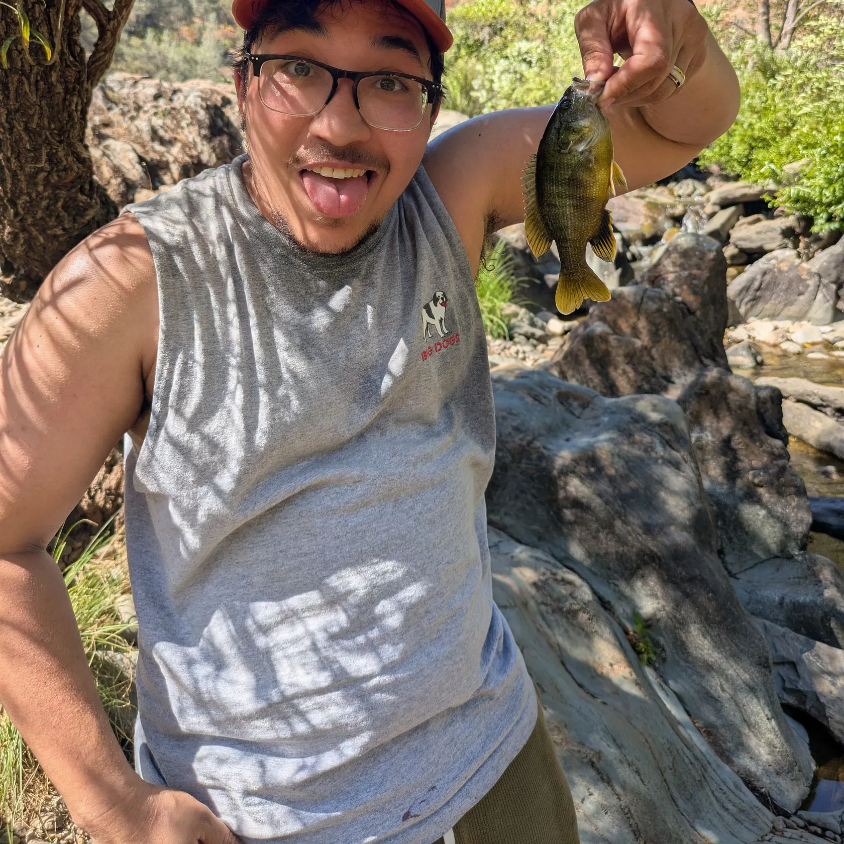 Green sunfish caught on Fishbrain