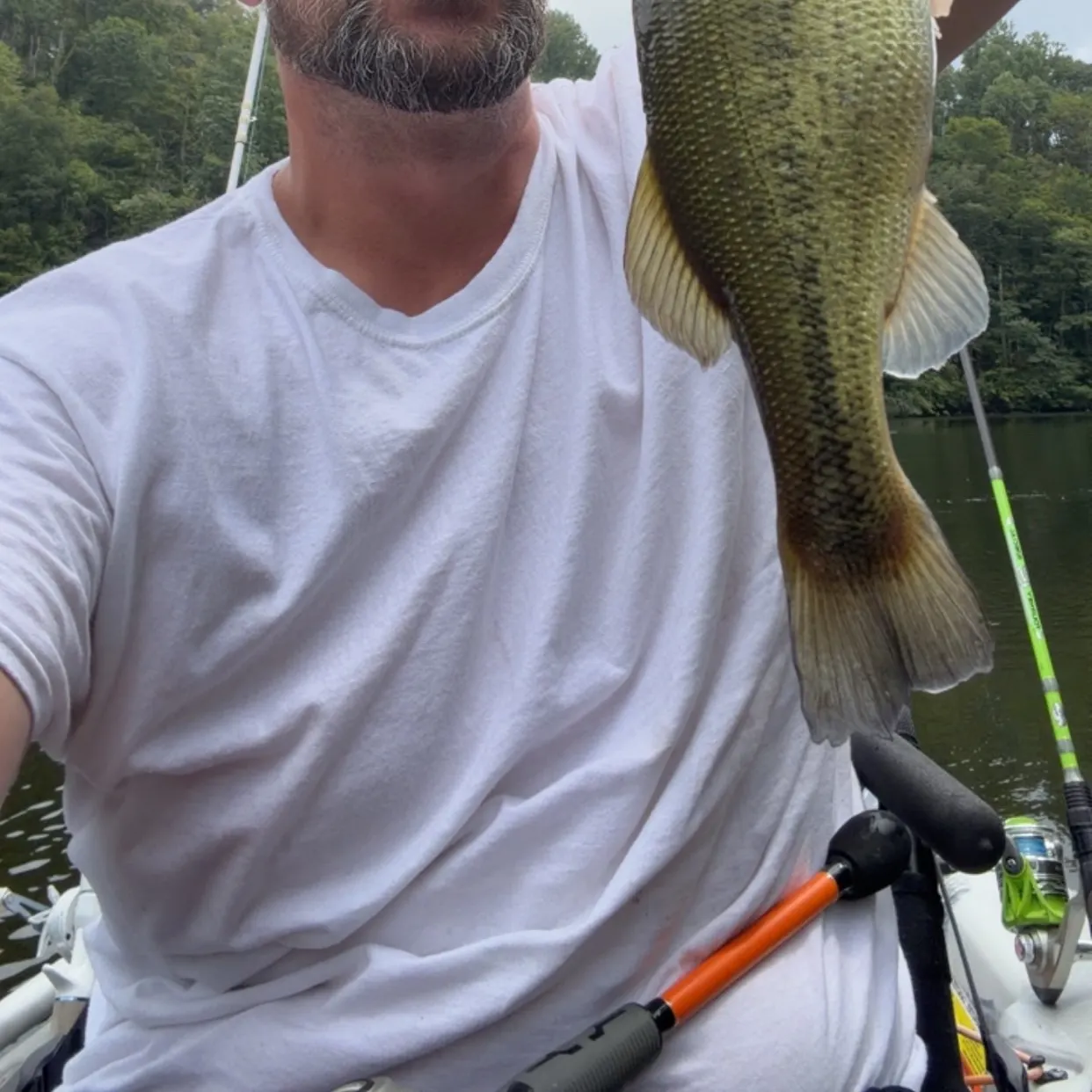 Largemouth bass caught on Fishbrain