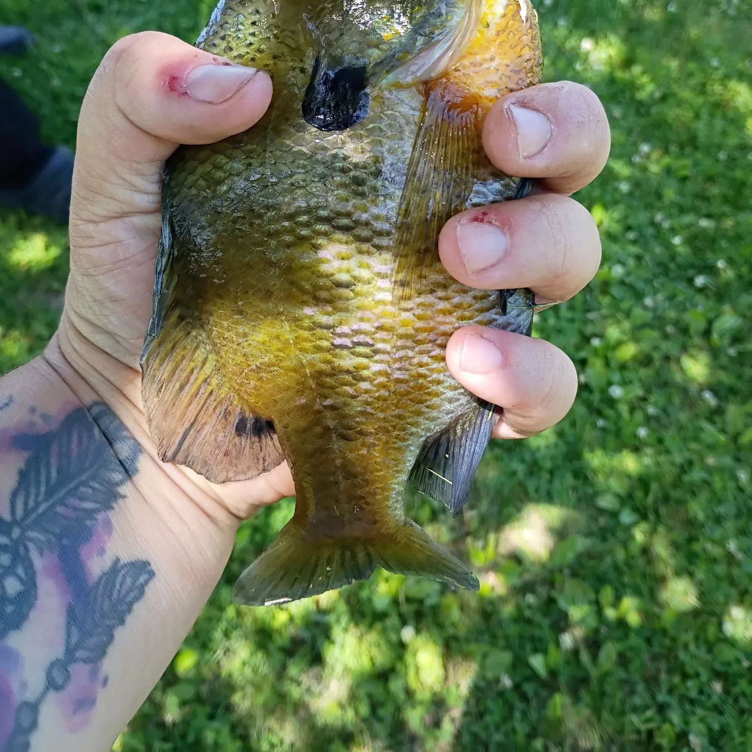 catch