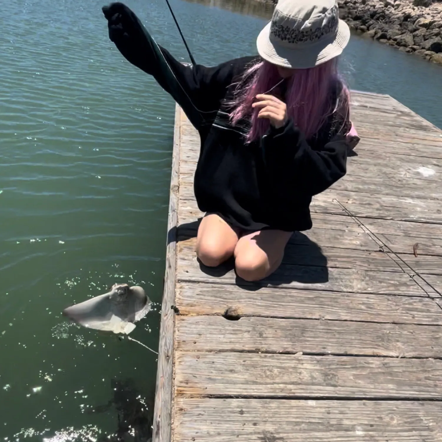 The most recent Common stingray catches on Fishbrain