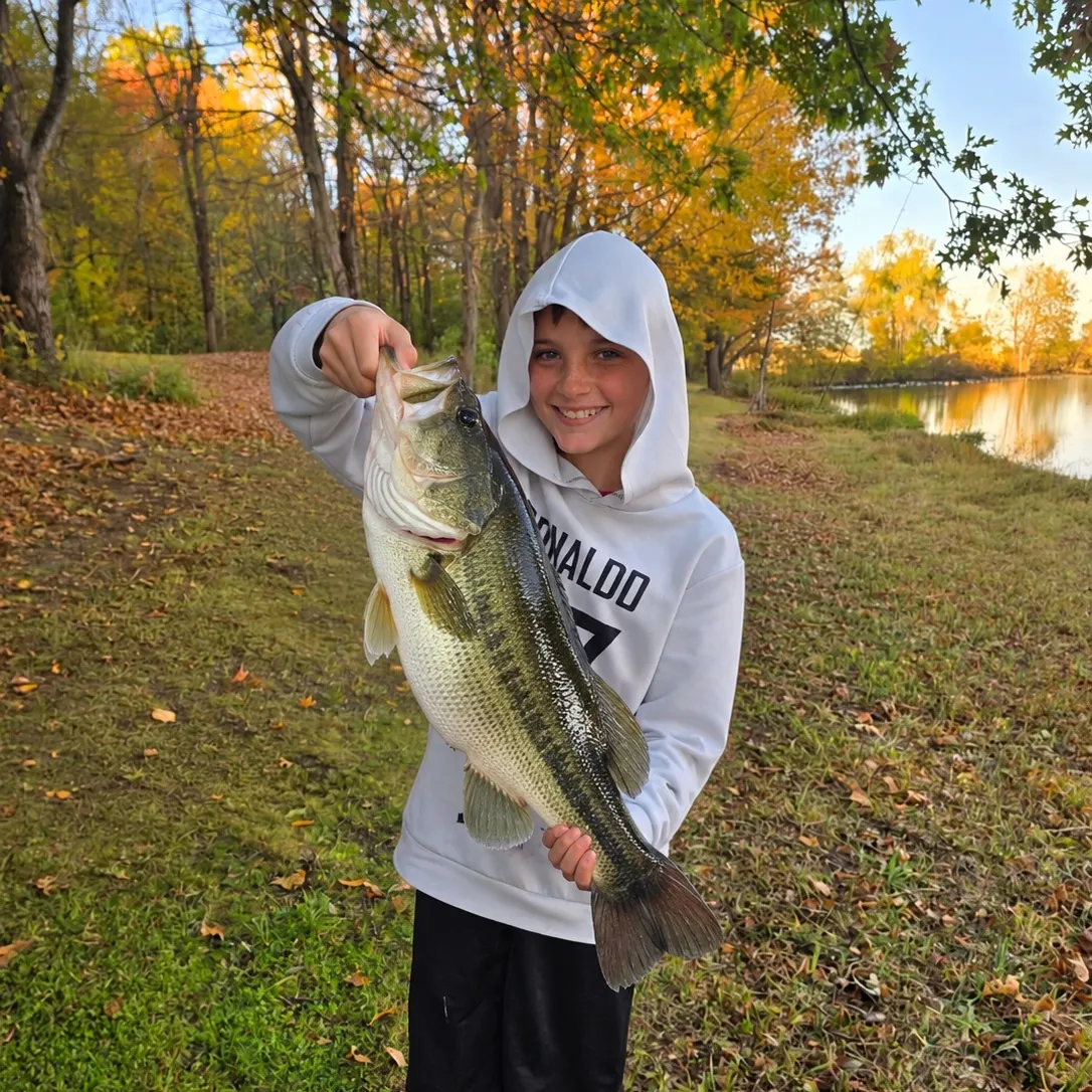 Fish caught on Fishbrain