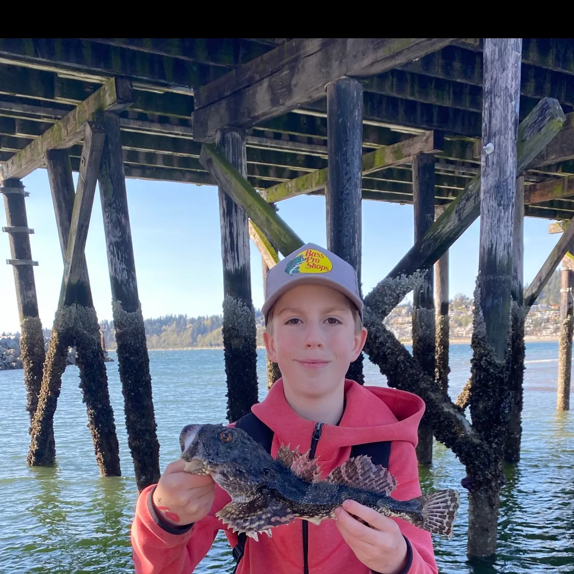 The most recent Great sculpin catches on Fishbrain