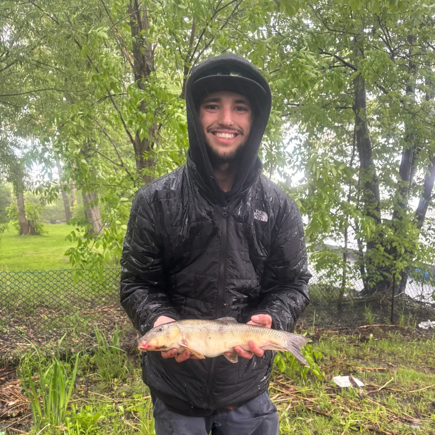 The most recent Silver redhorse catches on Fishbrain