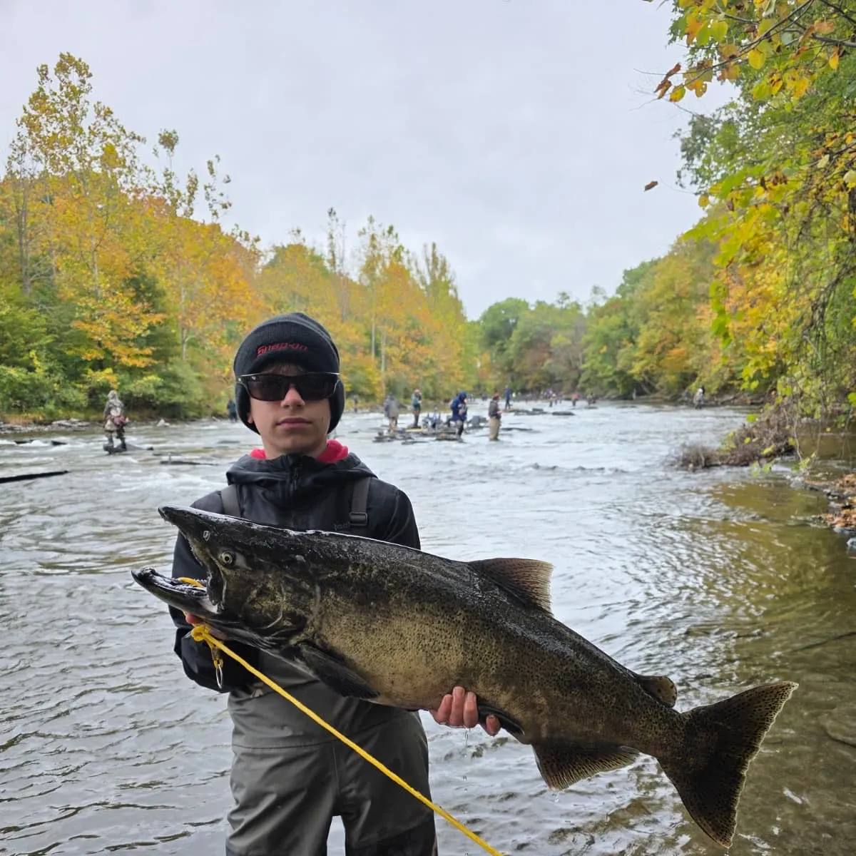 Chinook salmon caught on Fishbrain