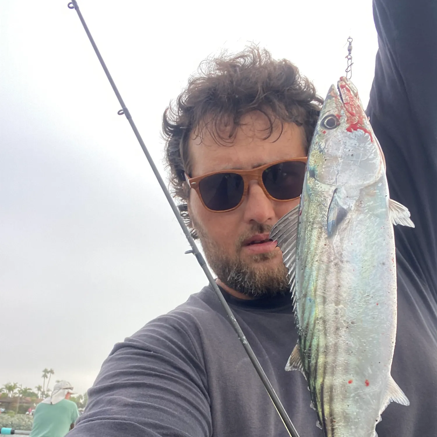 Pacific bonito caught on Fishbrain