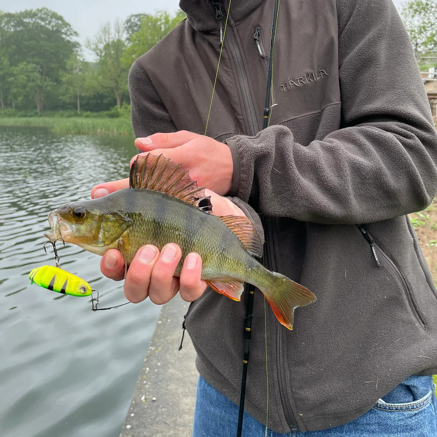 angler catch