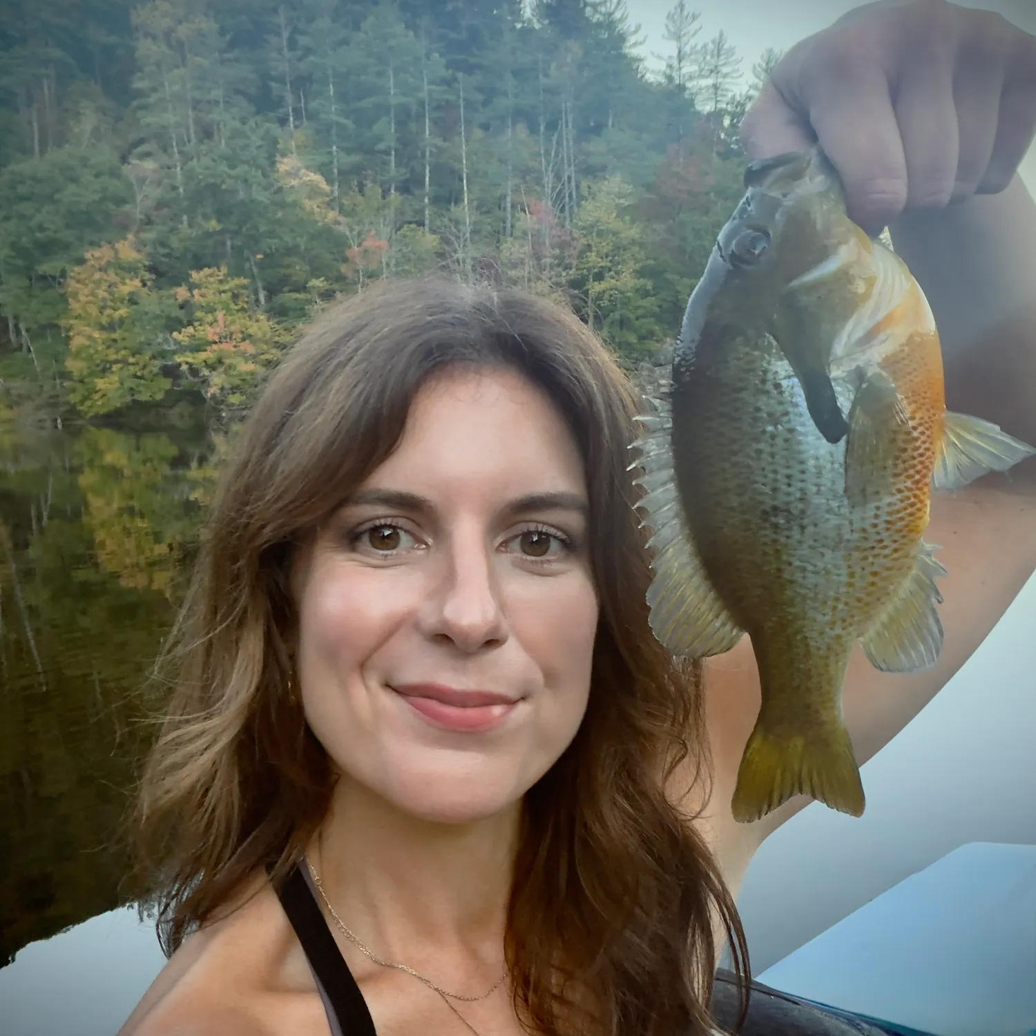 Redbreast sunfish caught on Fishbrain