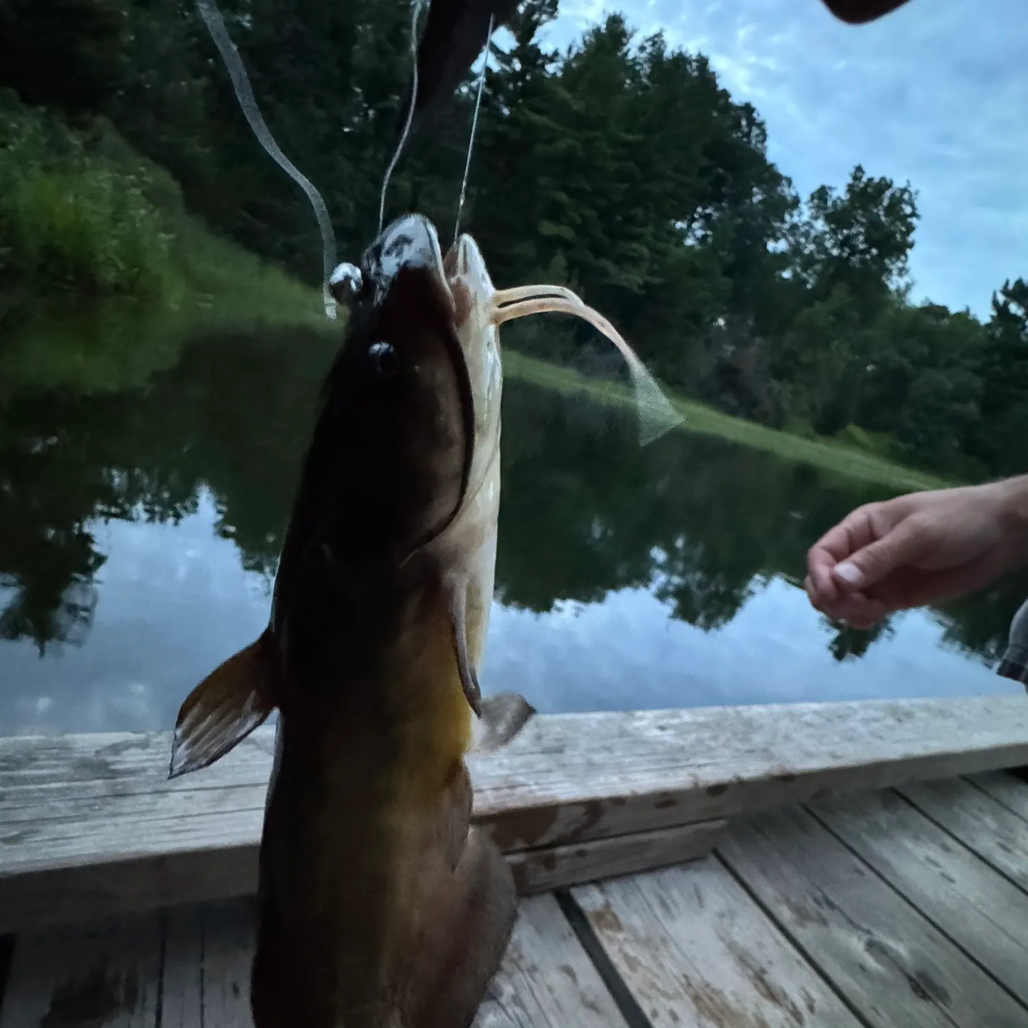 catch