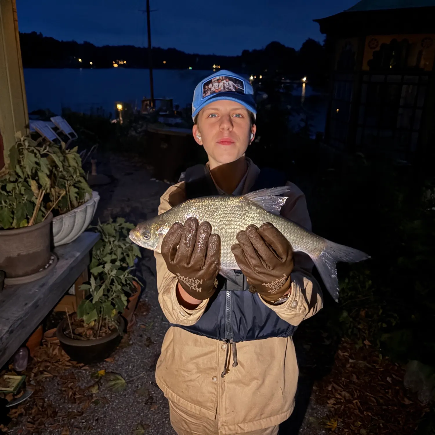 Common bream caught on Fishbrain