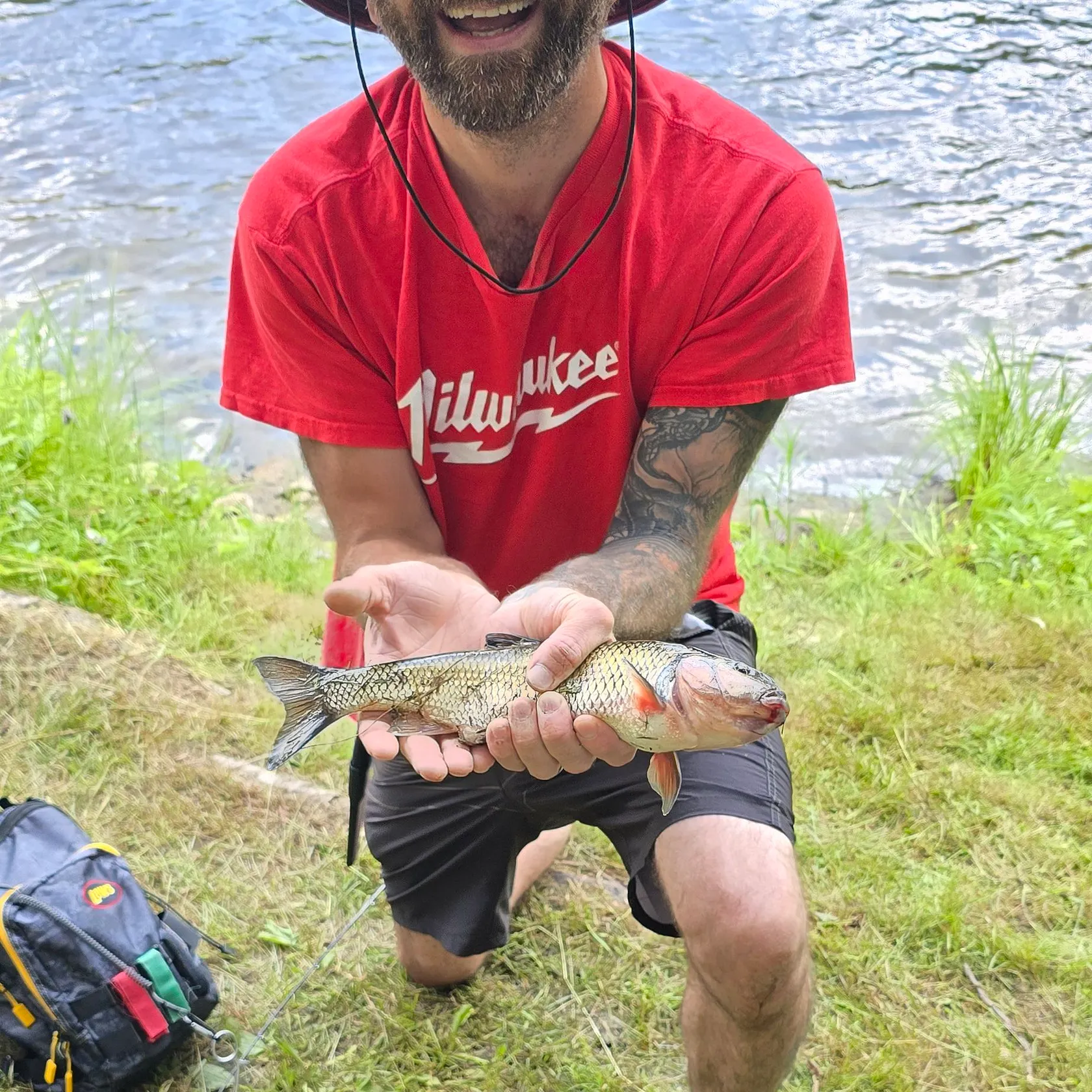 The most recent River chub catches on Fishbrain
