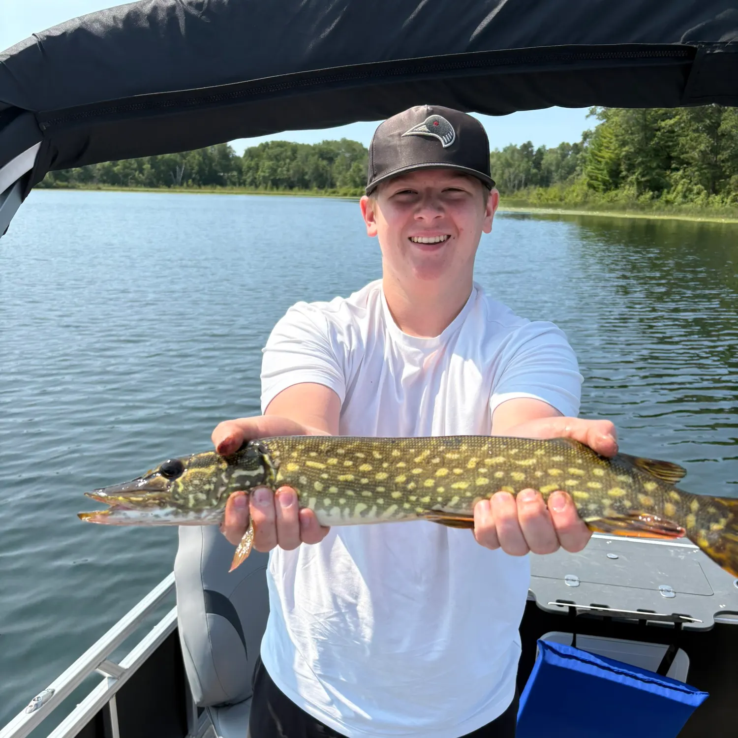 Northern pike caught on Fishbrain