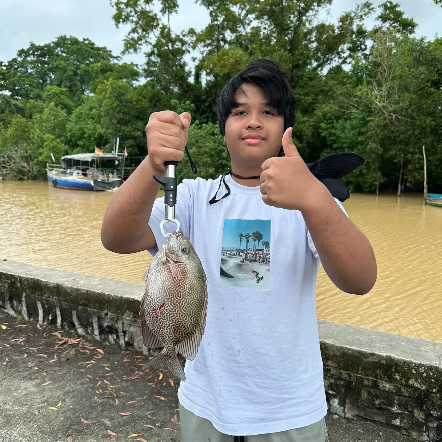 The most recent Mottled spinefoot catches on Fishbrain