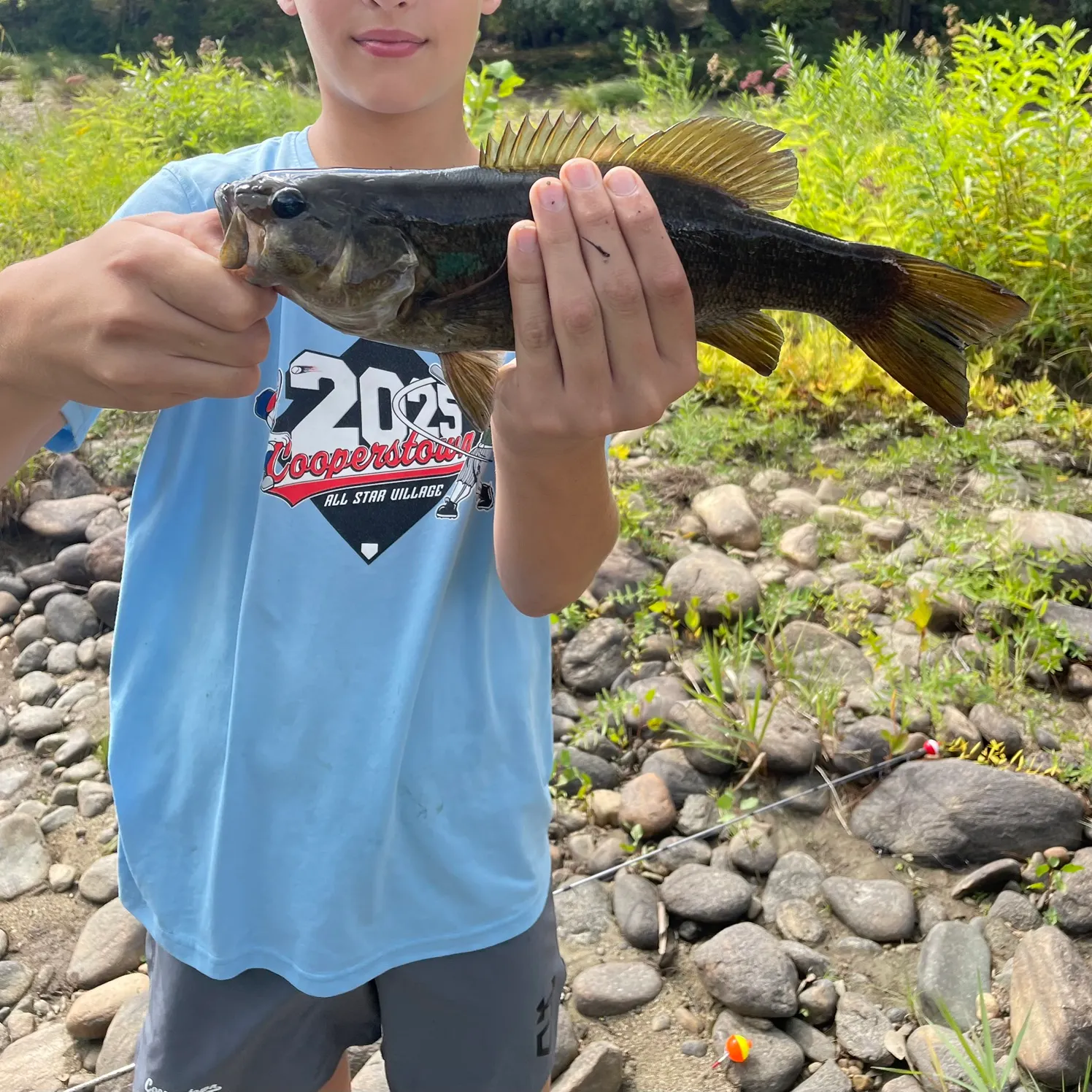 The most recent Smallmouth bass catches on Fishbrain