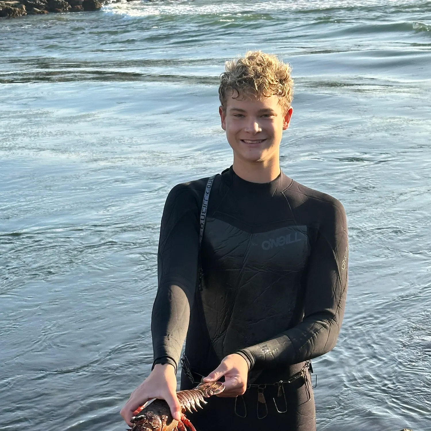 The most recent California spiny lobster catches on Fishbrain