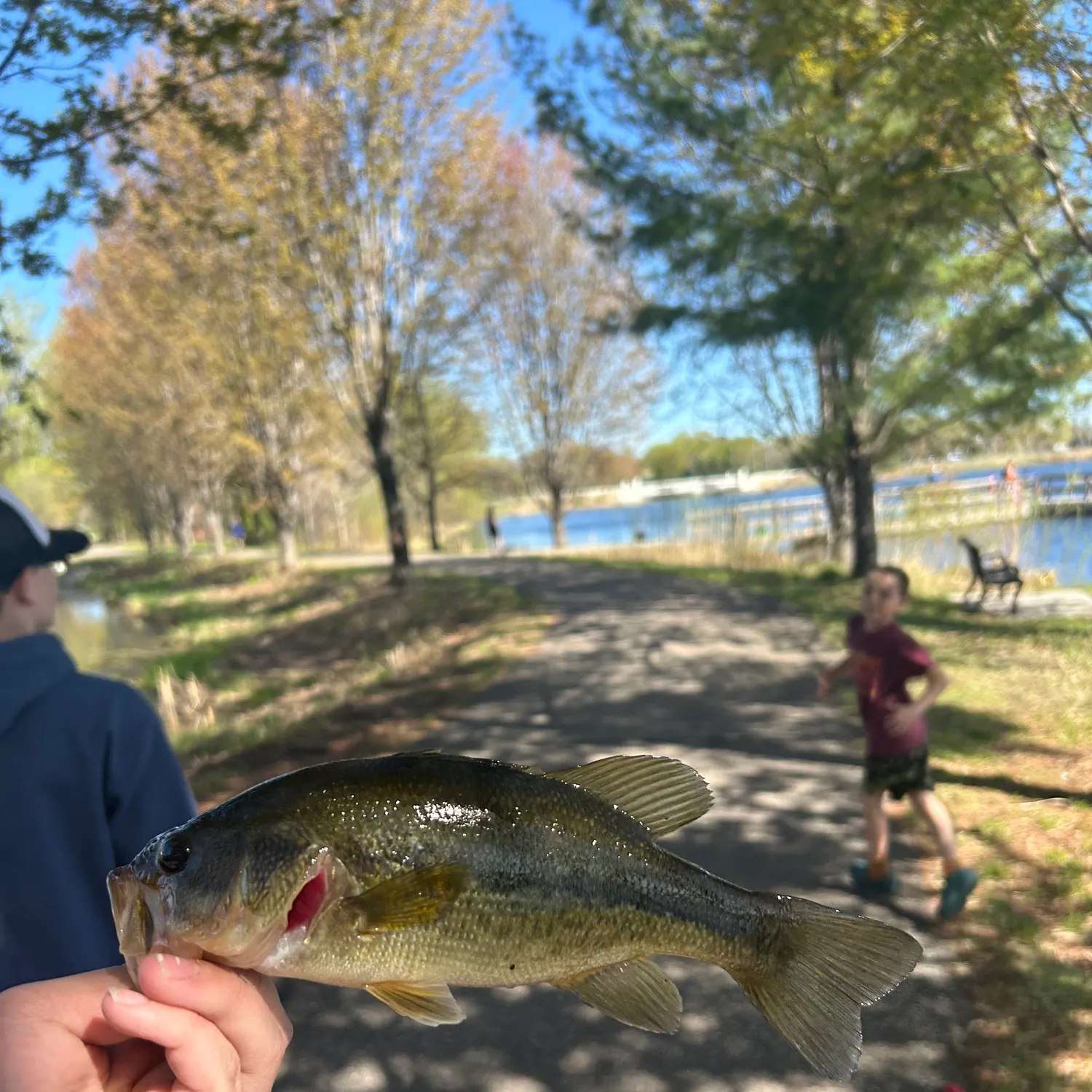 catch