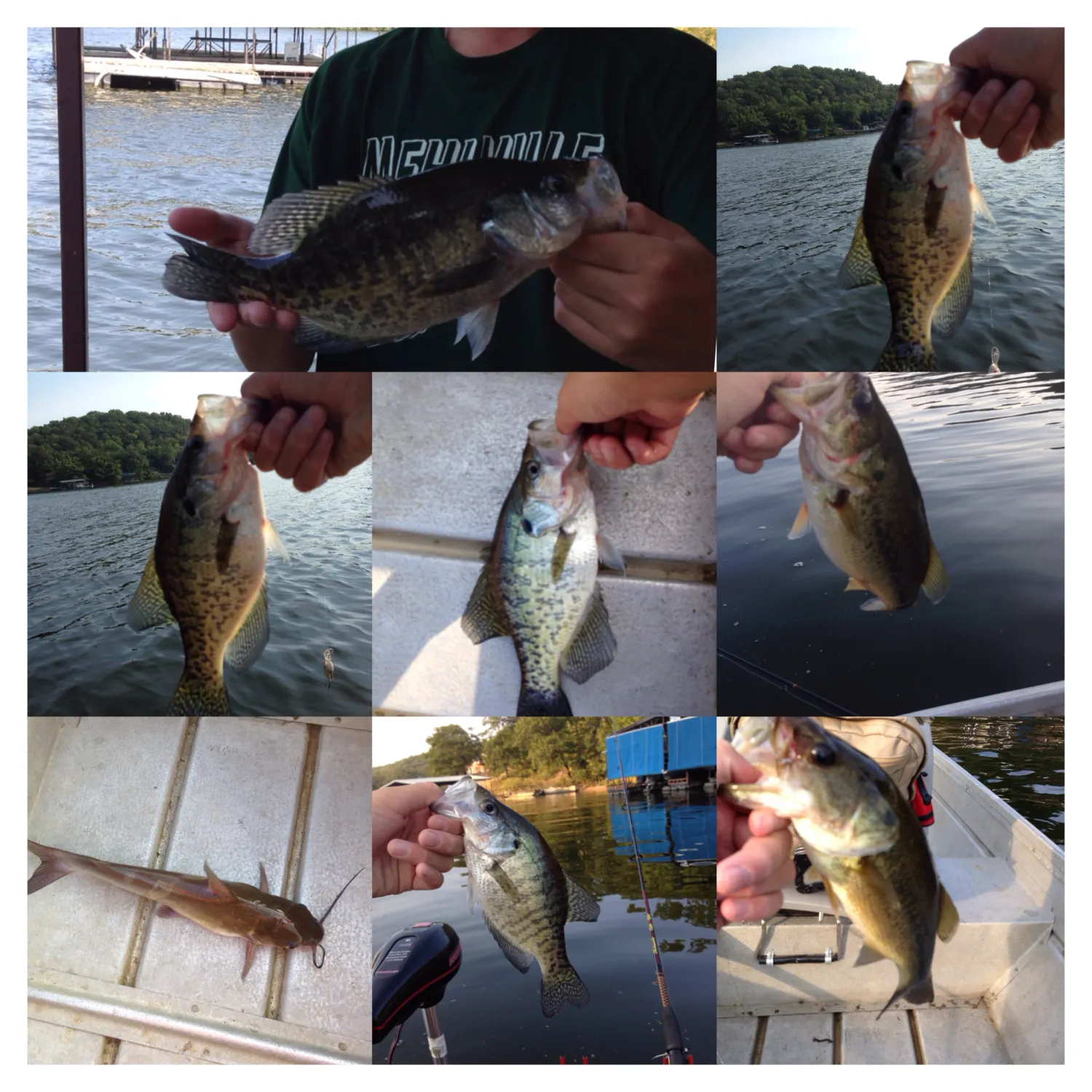 recently logged catches