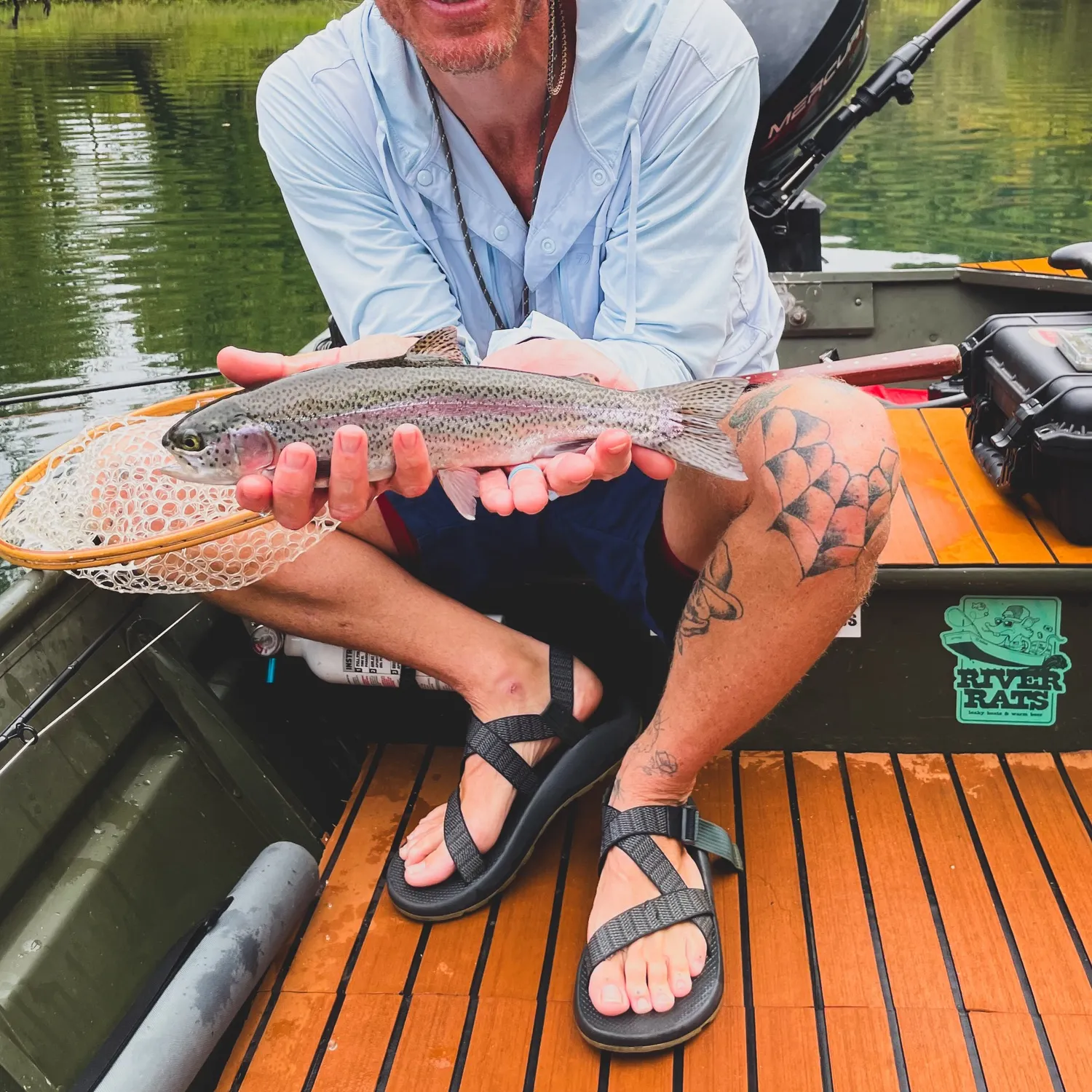 Rainbow trout caught on Fishbrain