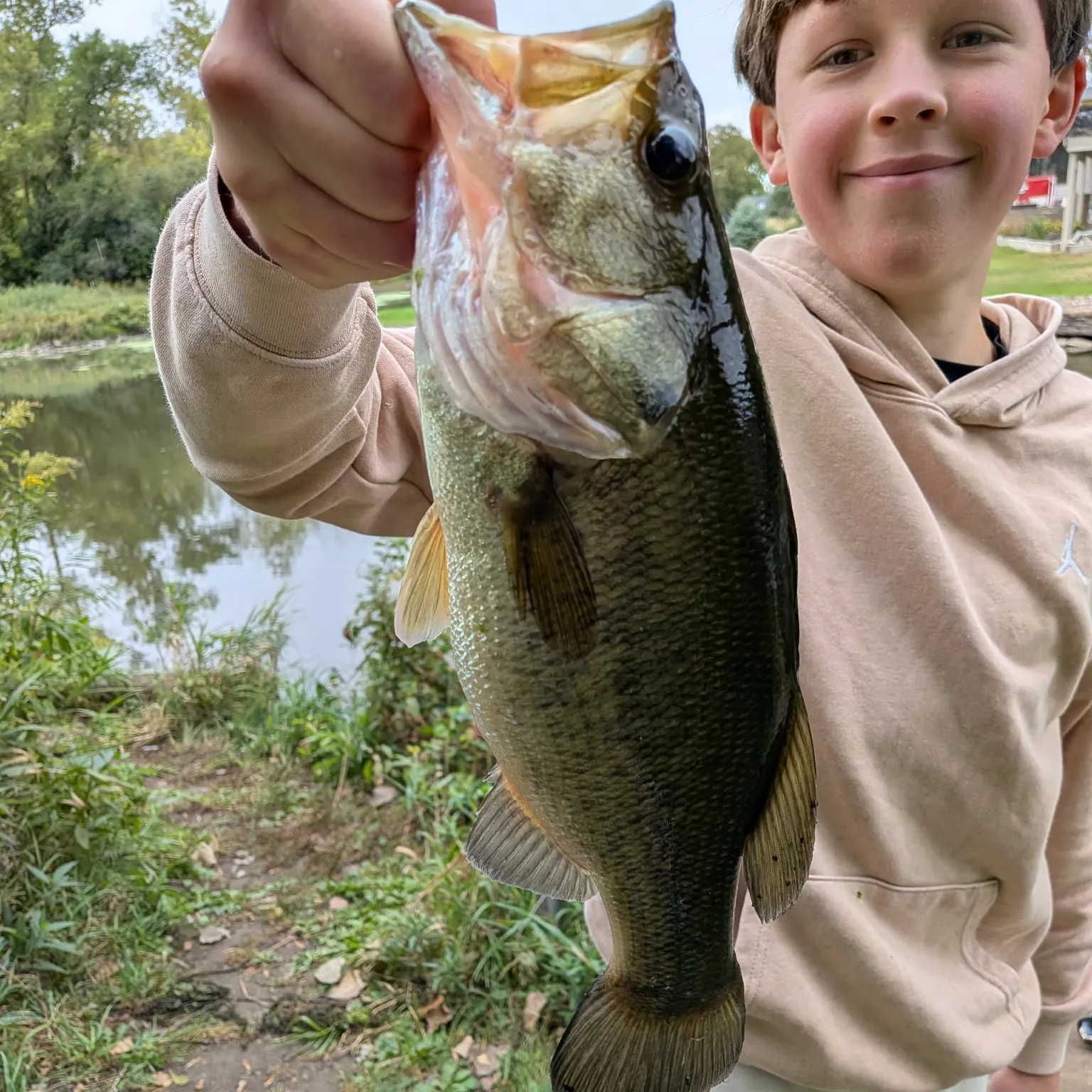 Largemouth bass caught on Fishbrain