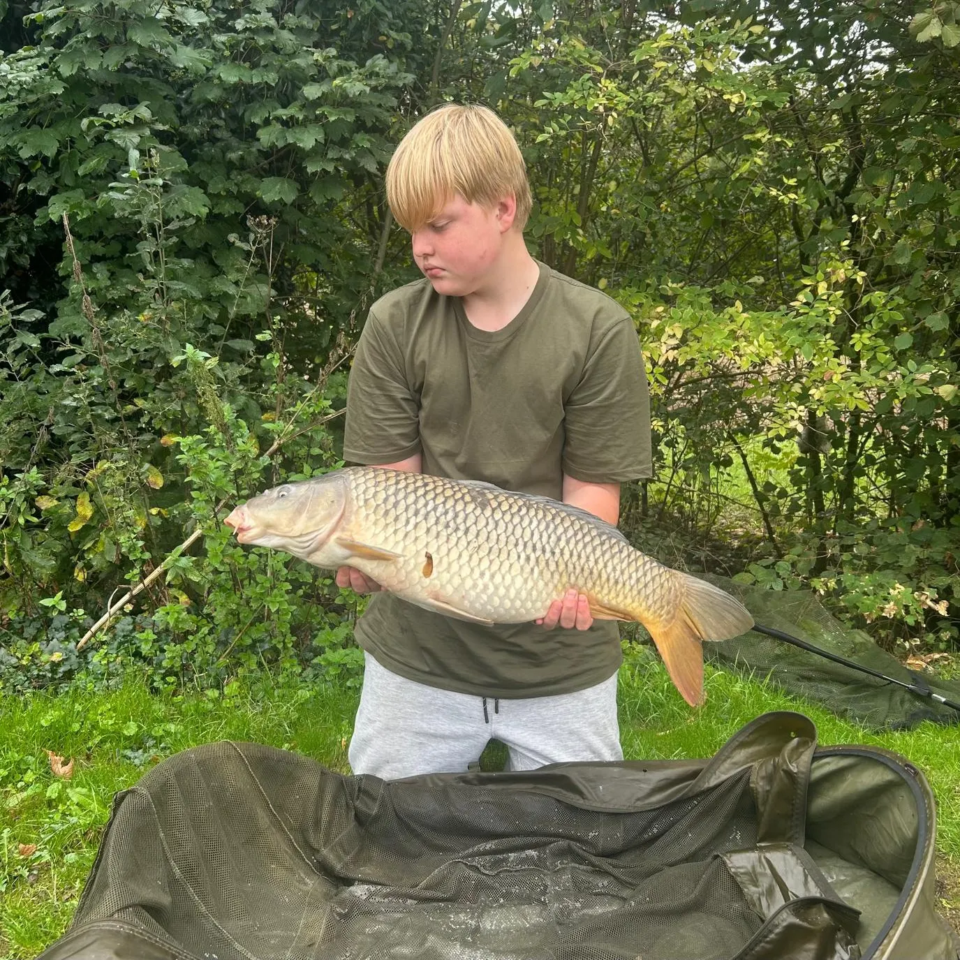 Common carp caught on Fishbrain