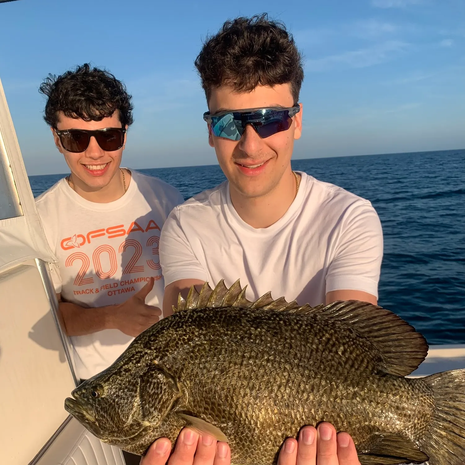 The most recent Atlantic tripletail catches on Fishbrain