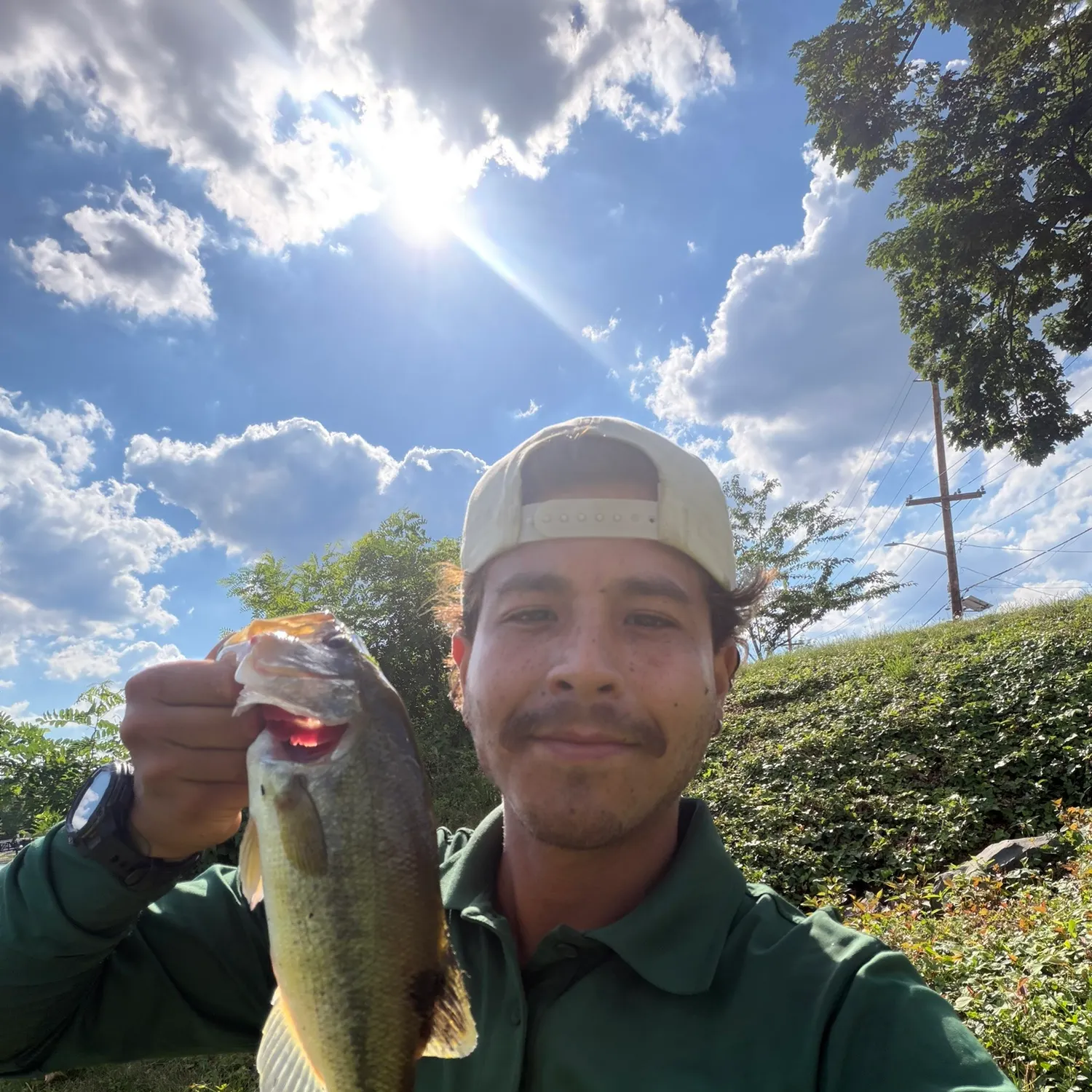 catch