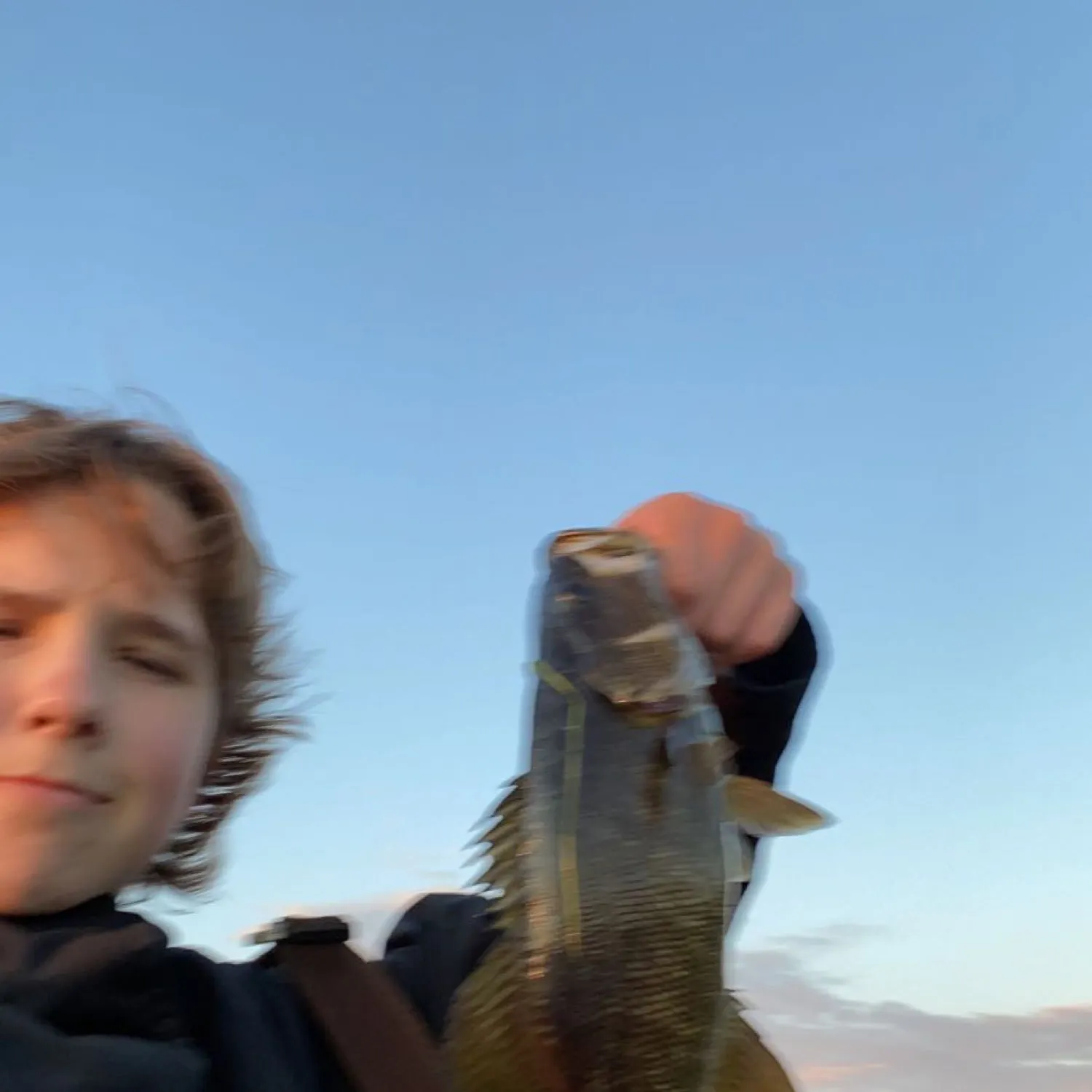Smallmouth bass caught on Fishbrain