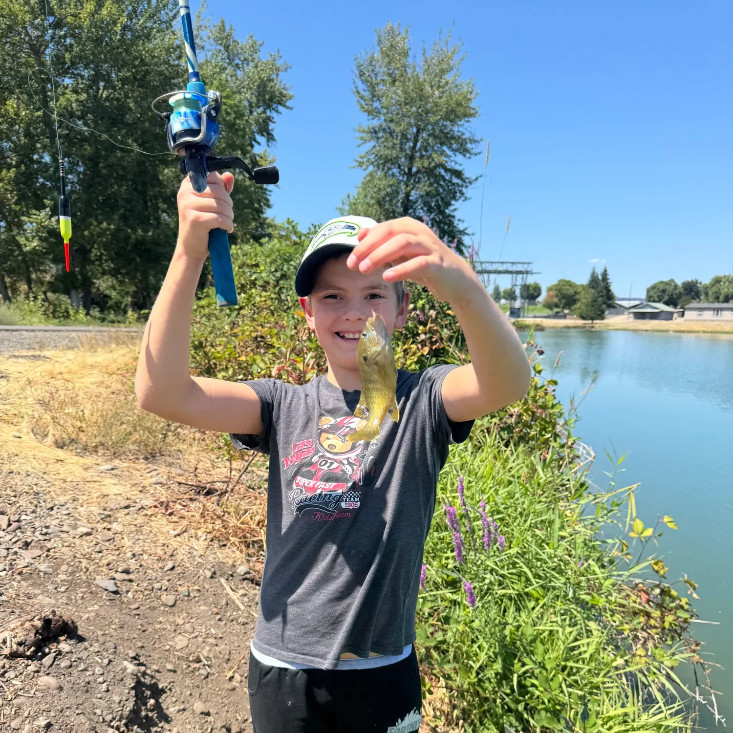 The most recent Green sunfish catches on Fishbrain