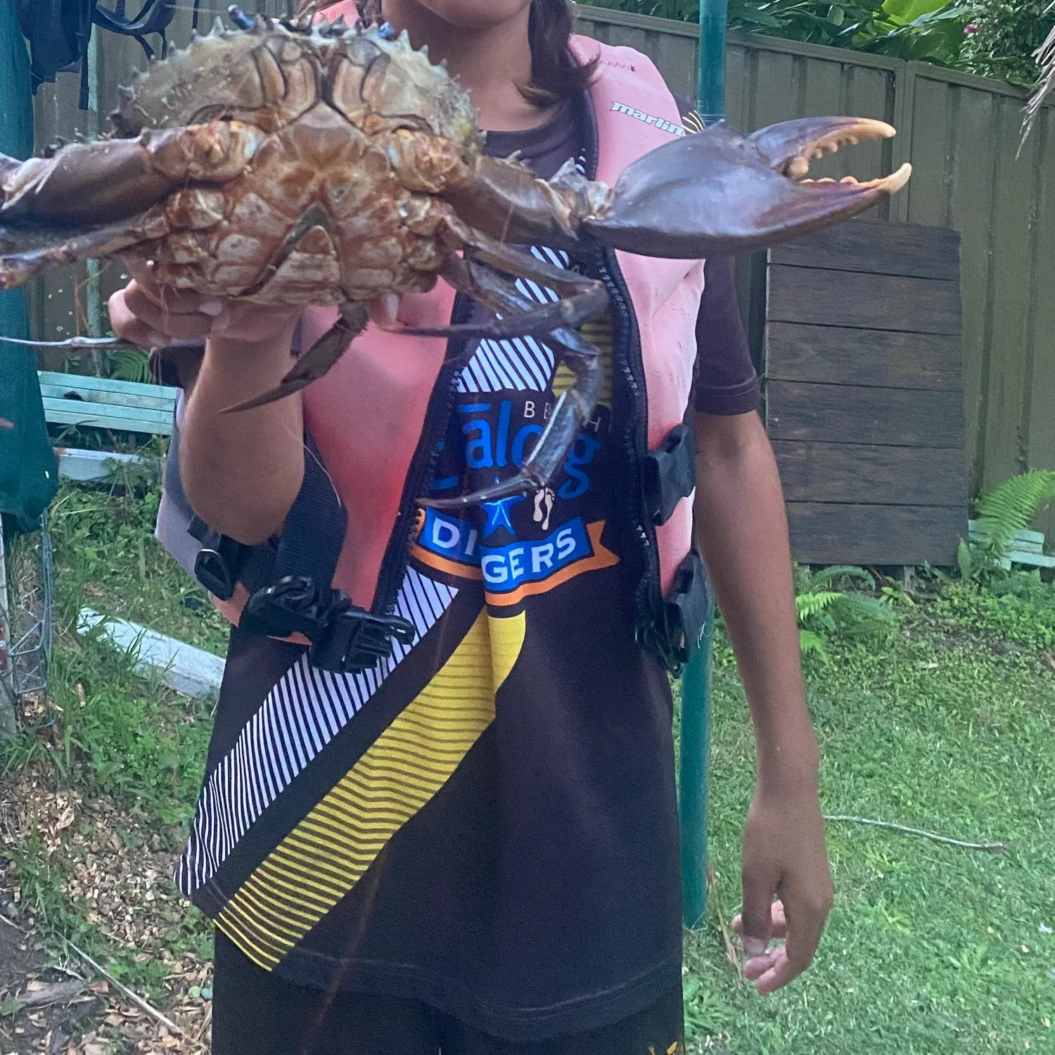 The most recent Giant mud crab catches on Fishbrain