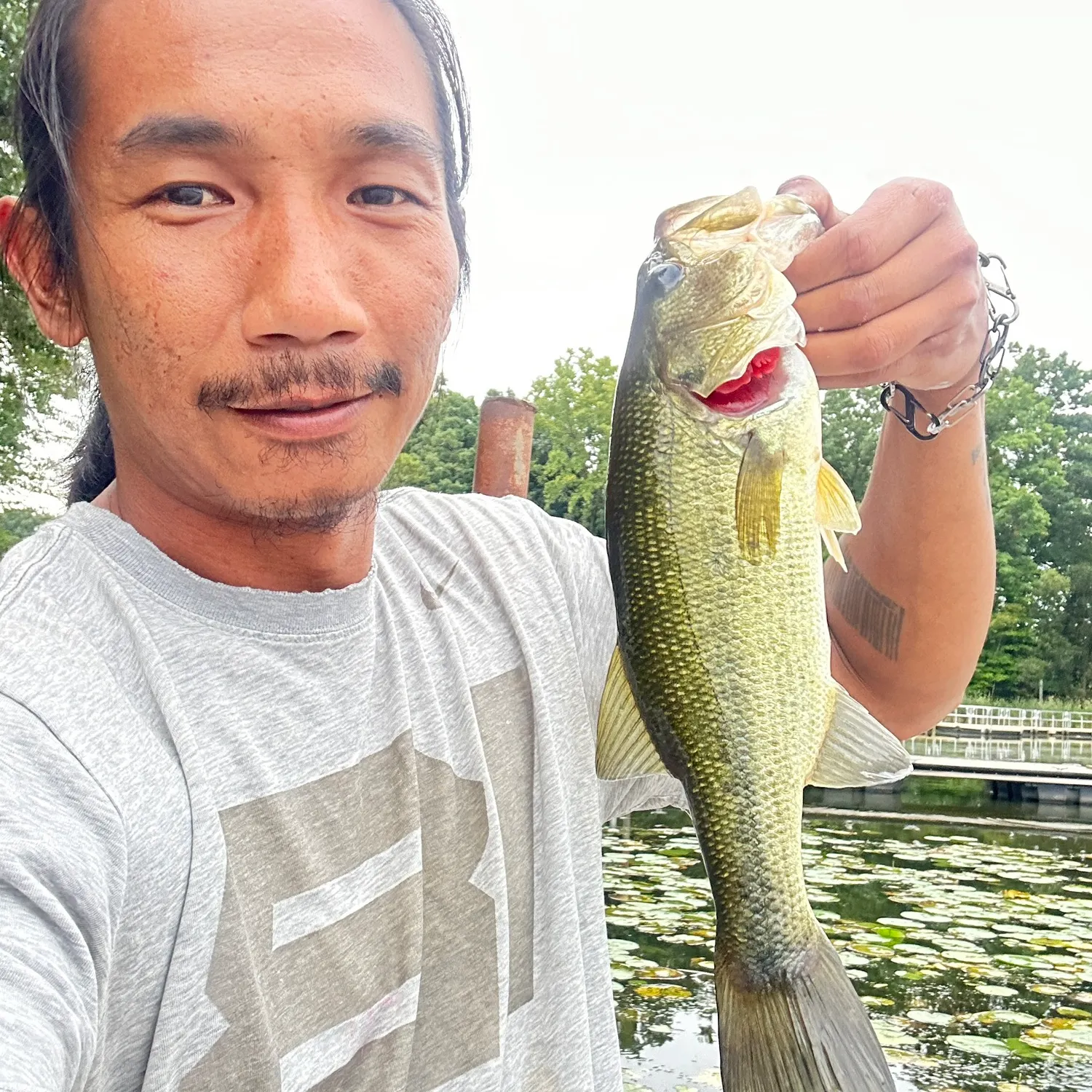 Largemouth bass caught on Fishbrain