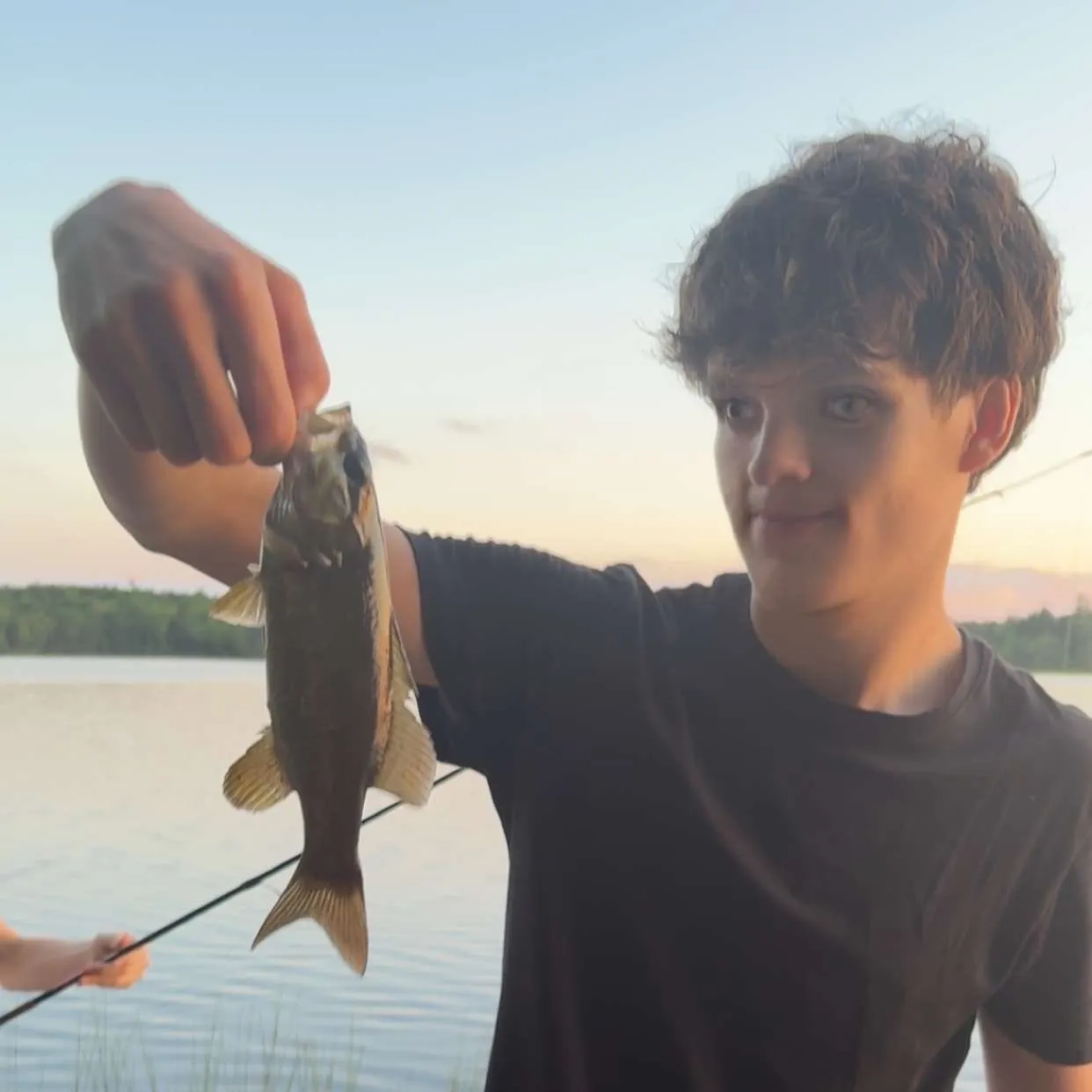 Smallmouth bass caught on Fishbrain