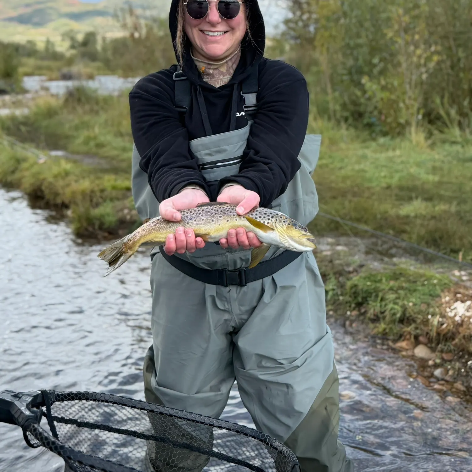 Brown trout caught on Fishbrain