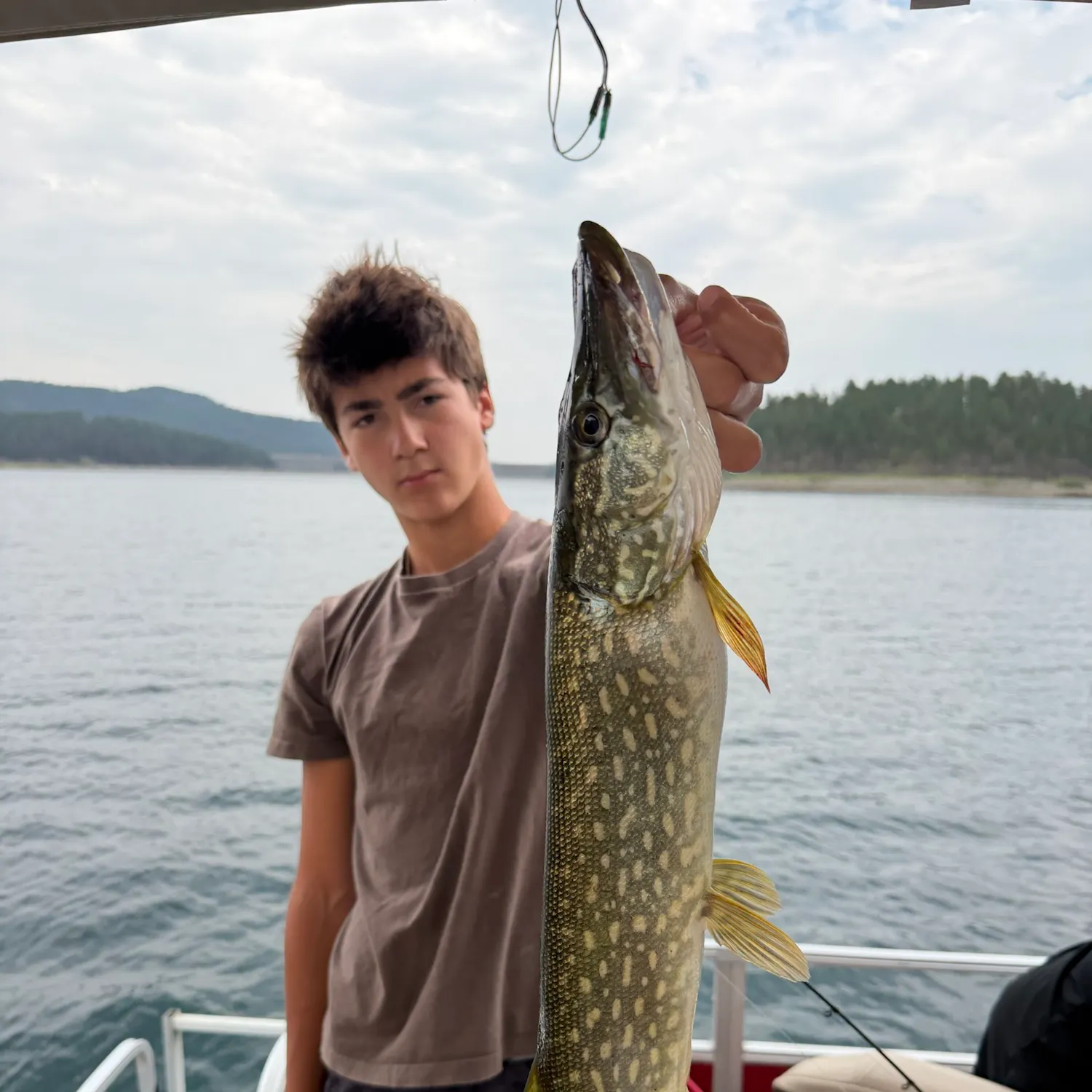The most recent Aquitainian pike catches on Fishbrain