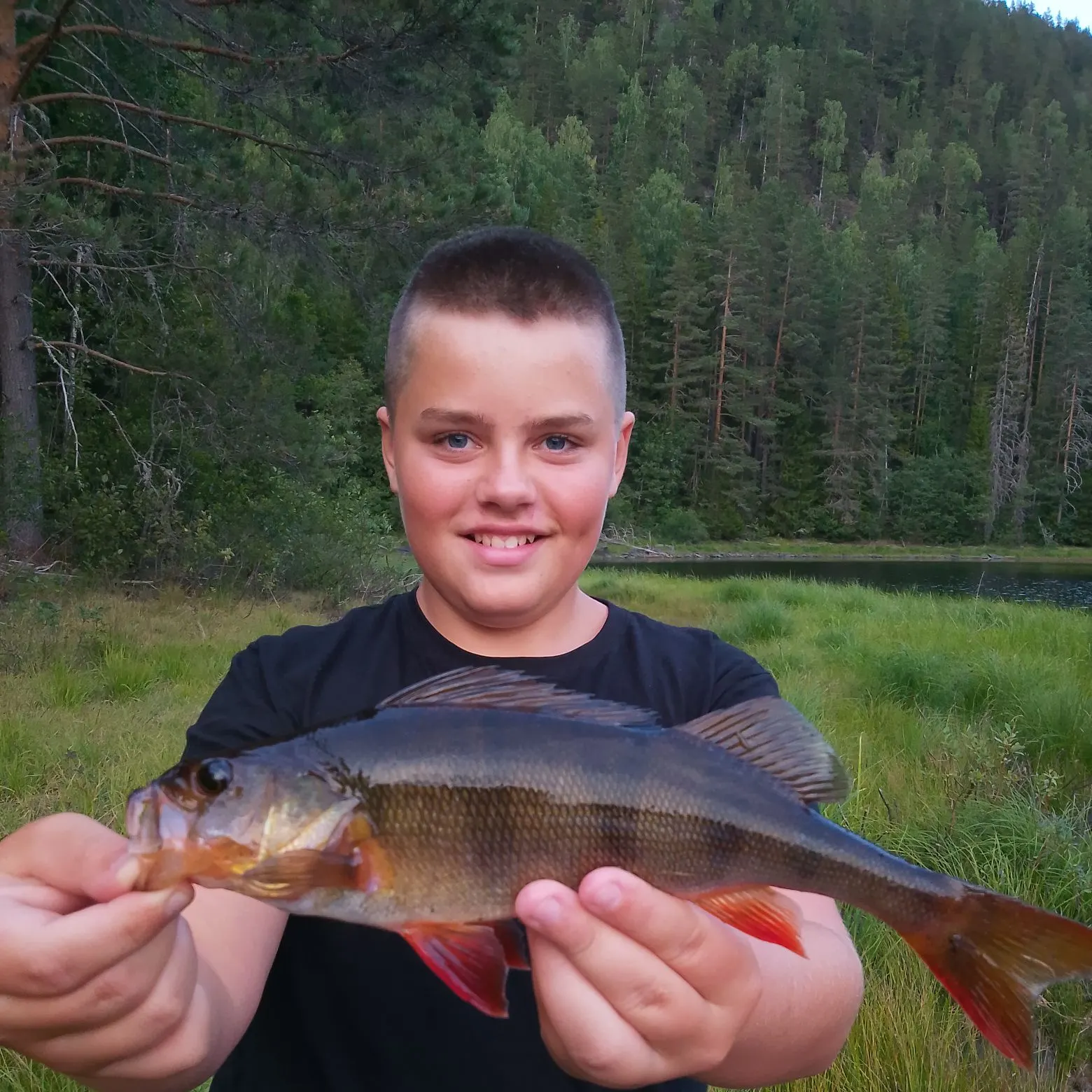 European perch caught on Fishbrain