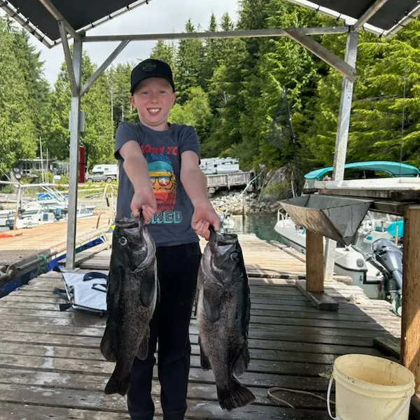 Black rockfish caught on Fishbrain