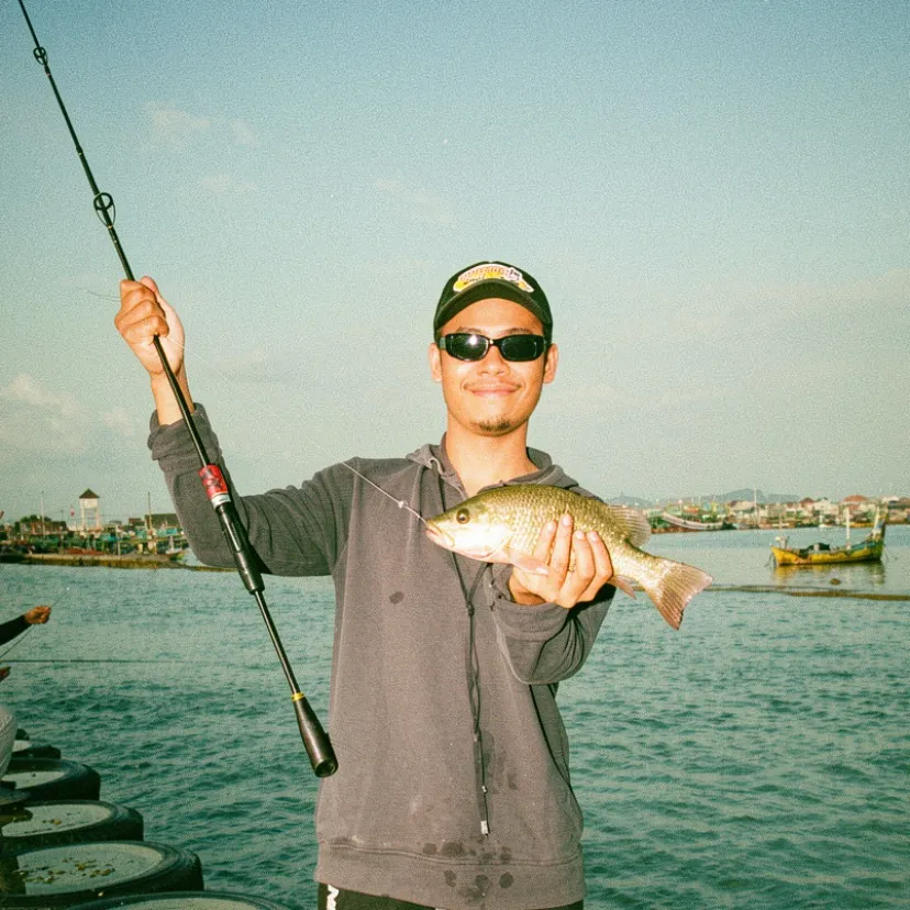 Mangrove red snapper caught on Fishbrain