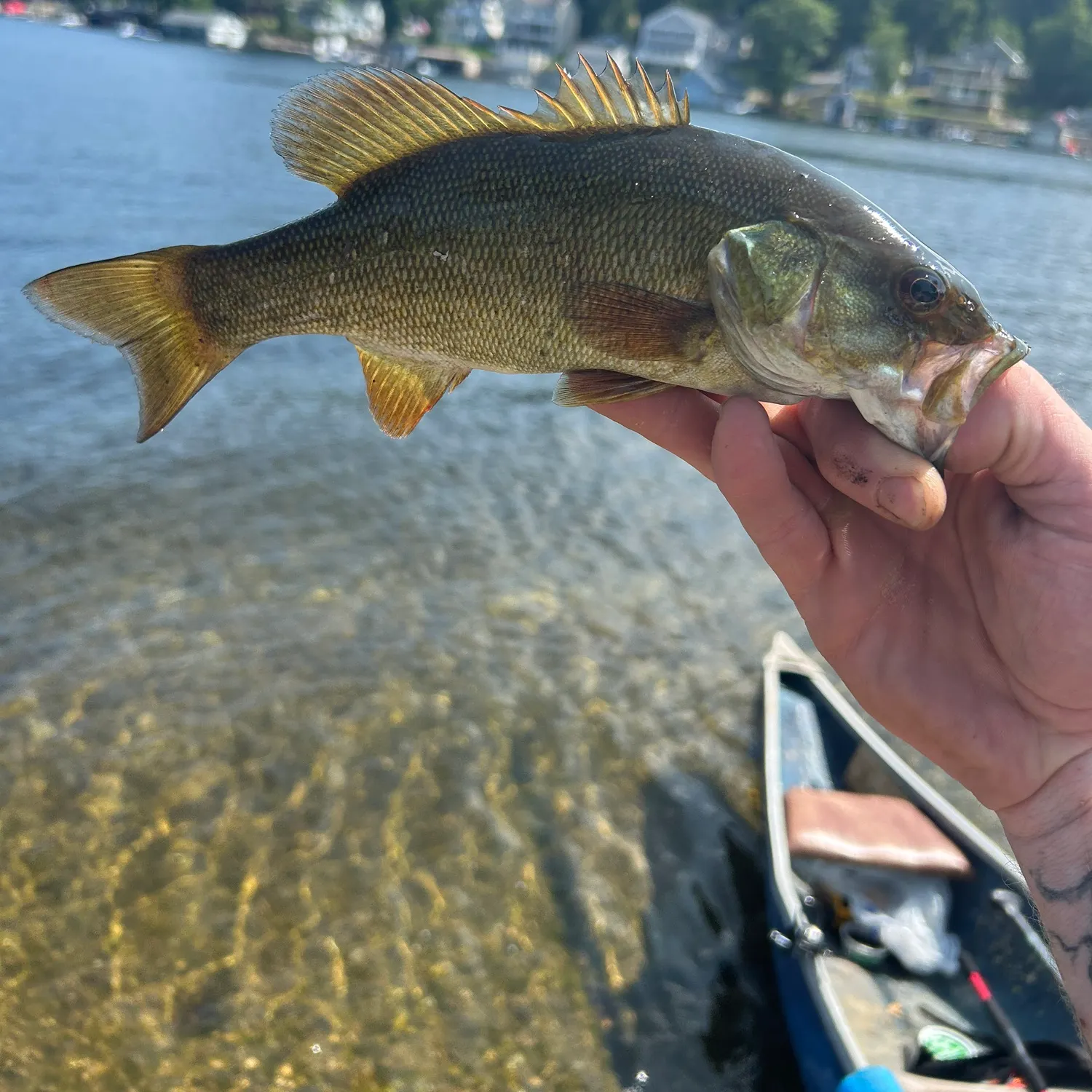 catch