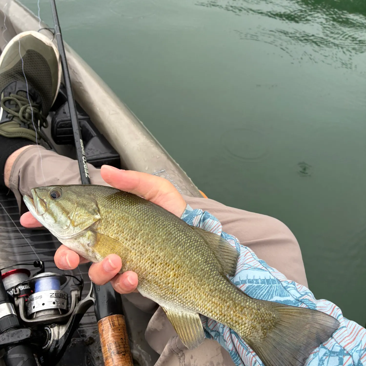 Smallmouth bass caught on Fishbrain
