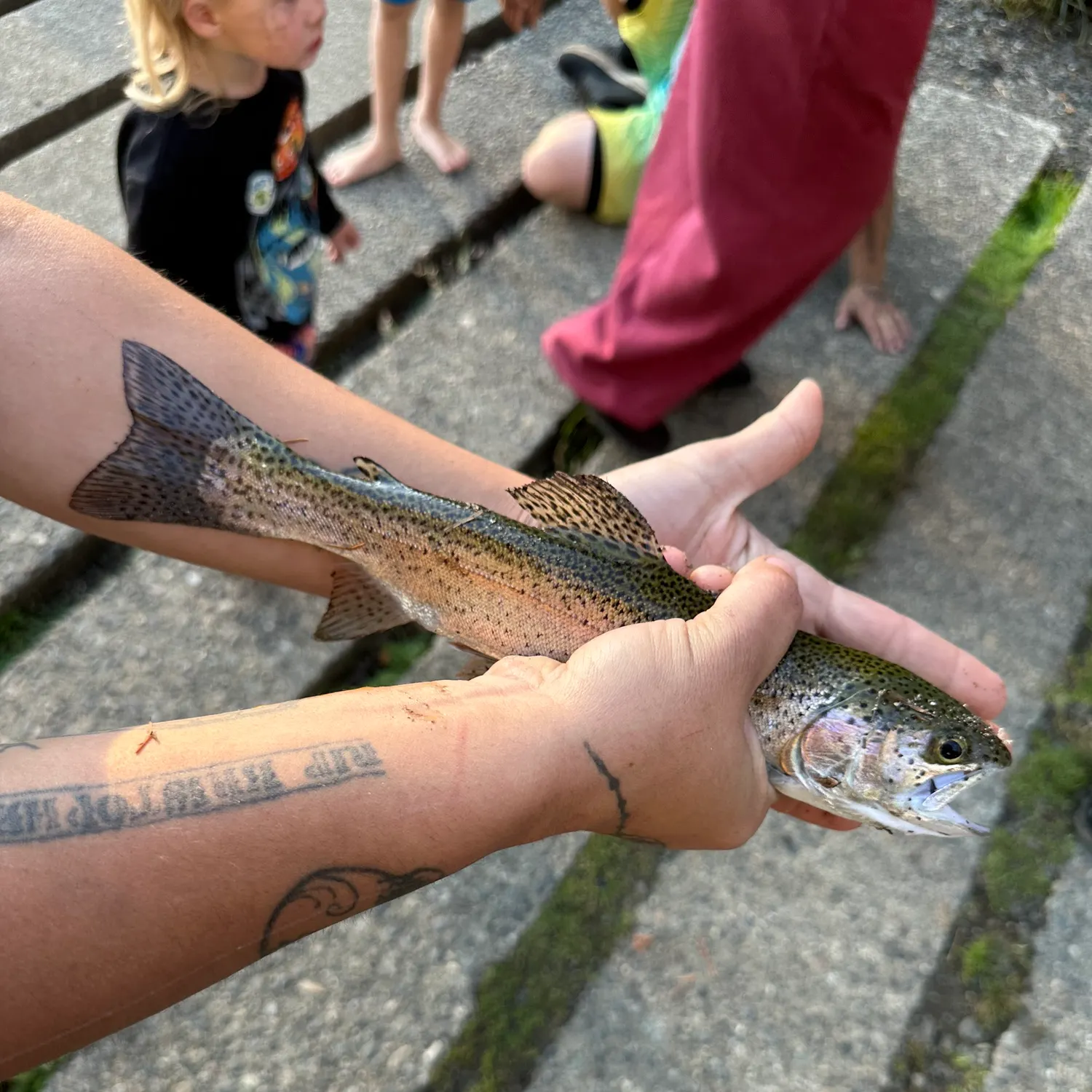 catch