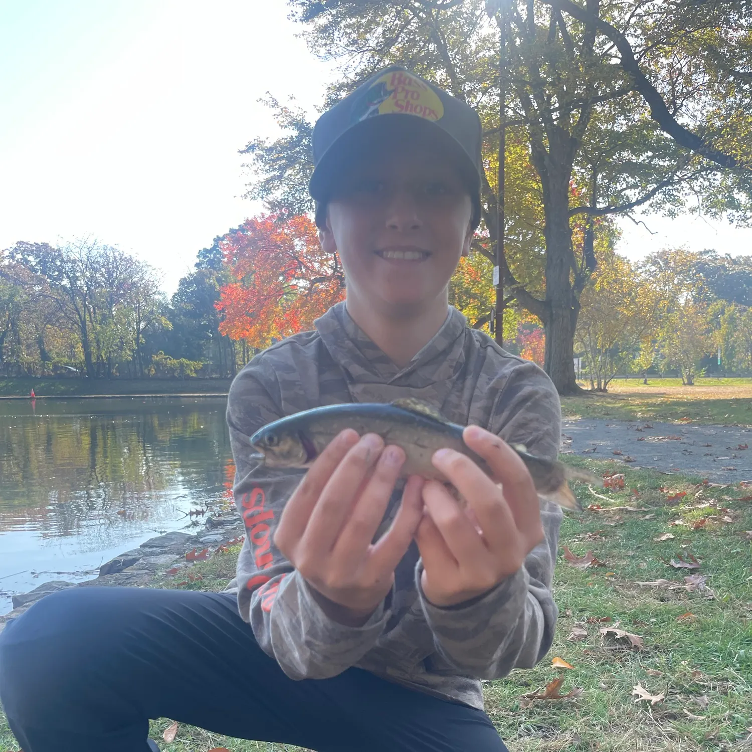 Brook trout caught on Fishbrain