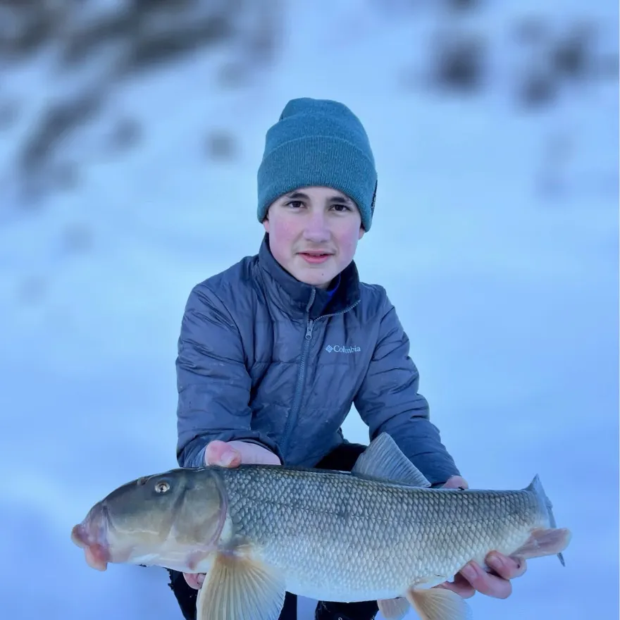 The most recent White sucker catches on Fishbrain