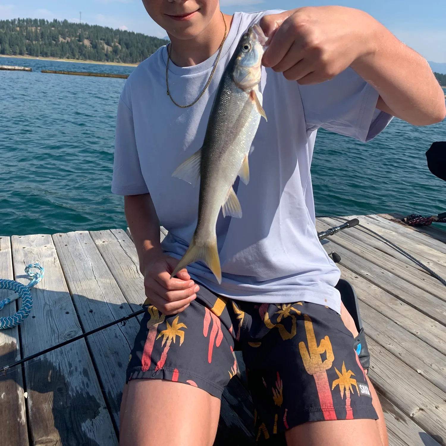 Northern pikeminnow caught on Fishbrain