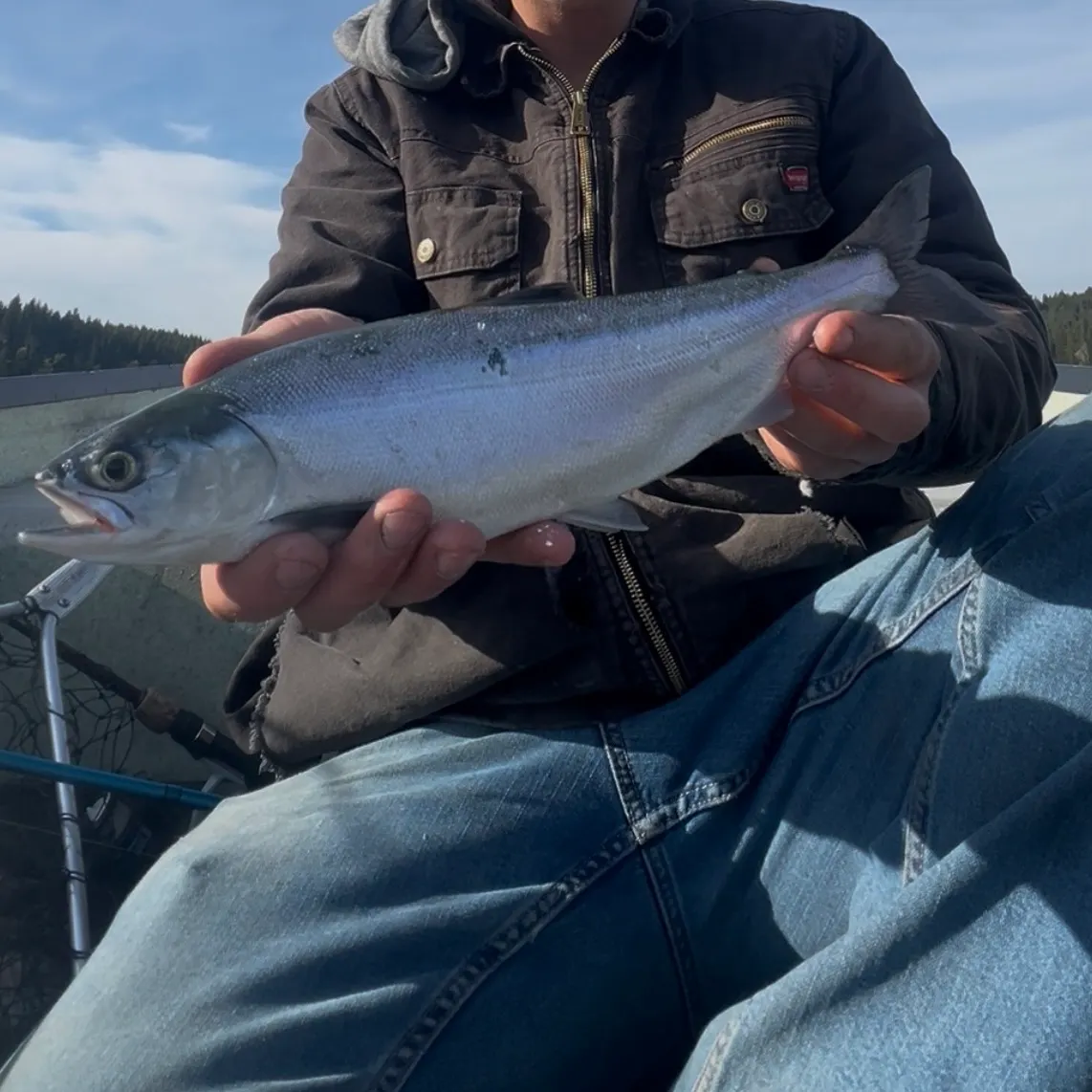 Kokanee salmon caught on Fishbrain