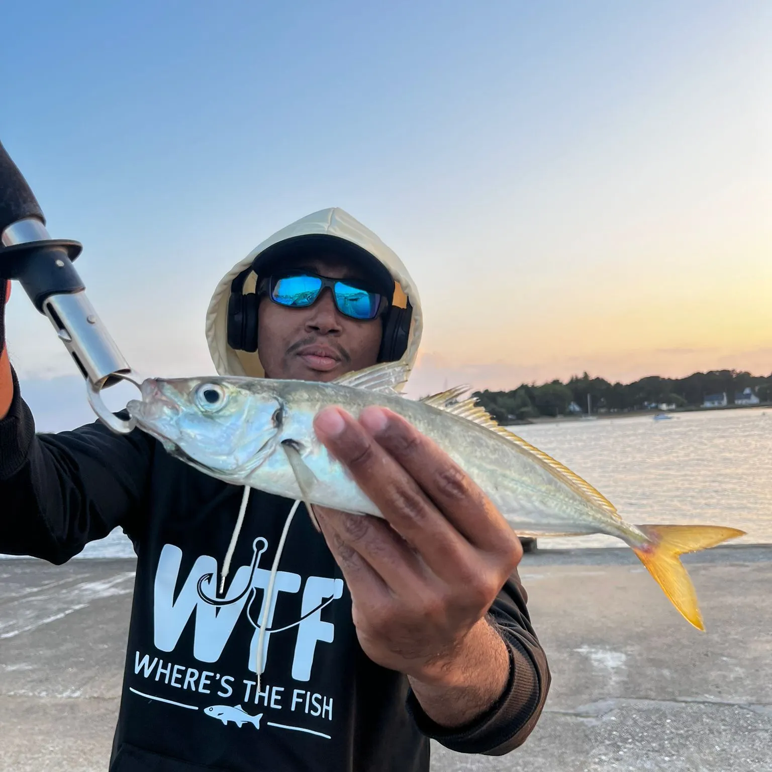 The most popular recent Bigeye scad catch on Fishbrain
